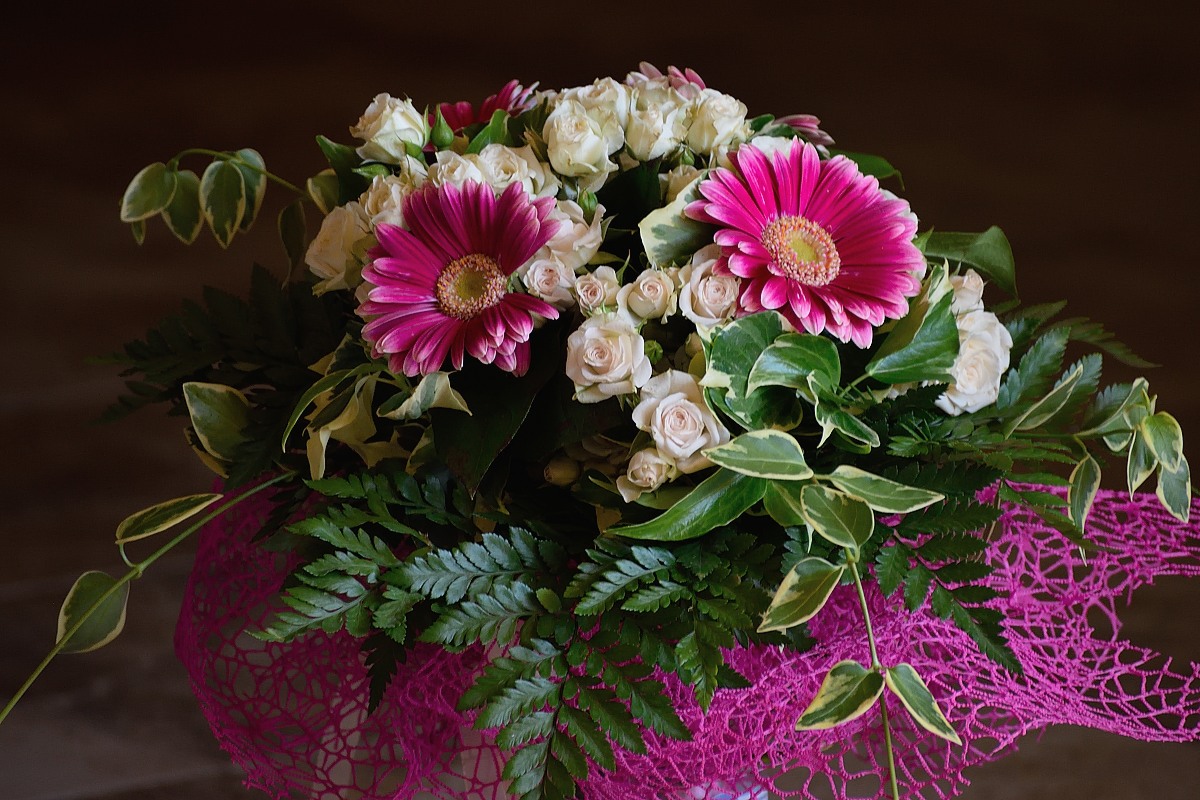 provocazione iso alti e vr con nuovo 70 300 af-p vr dx