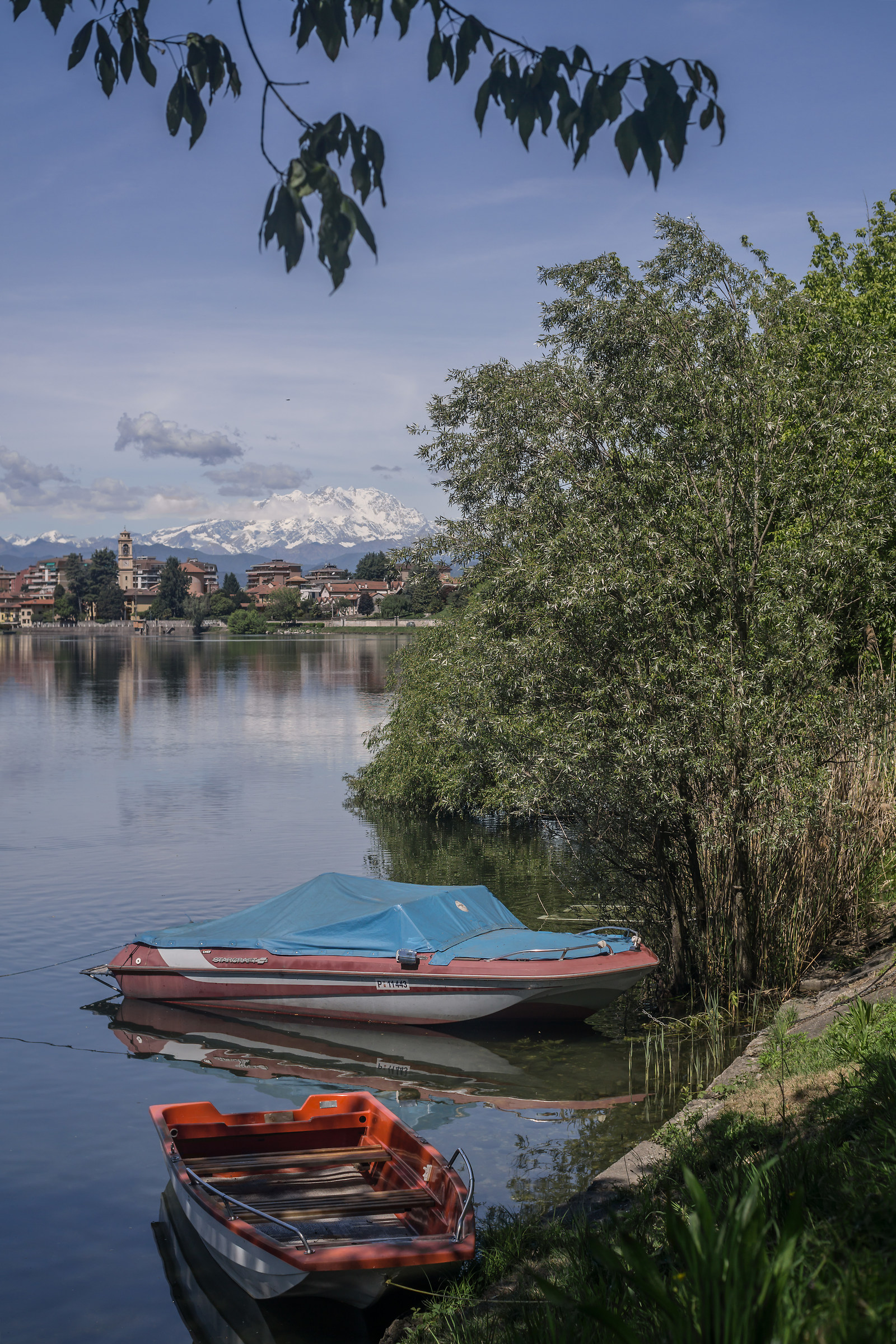Tarda mattinata di metà maggio - 7