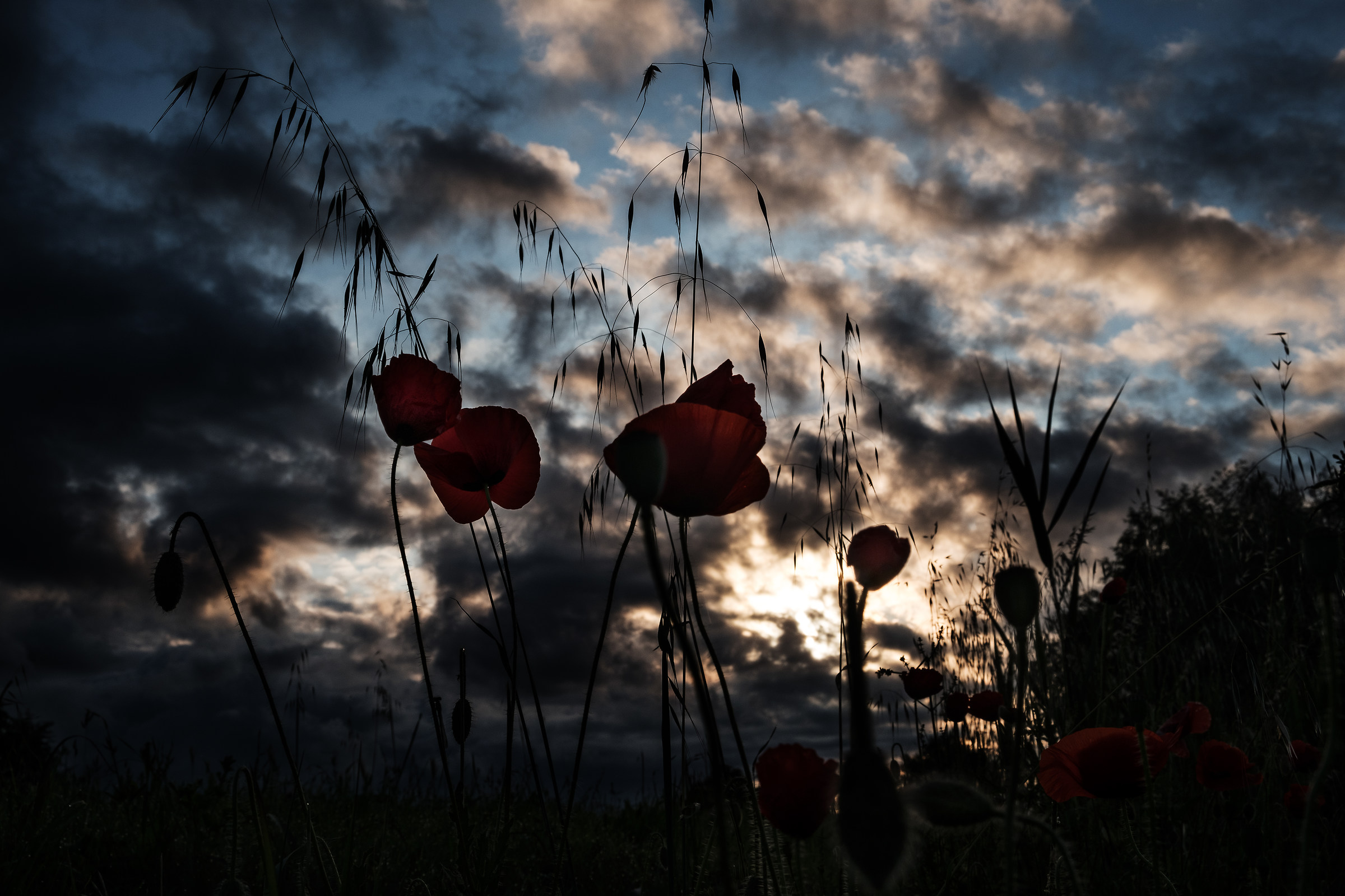 At six in the morning