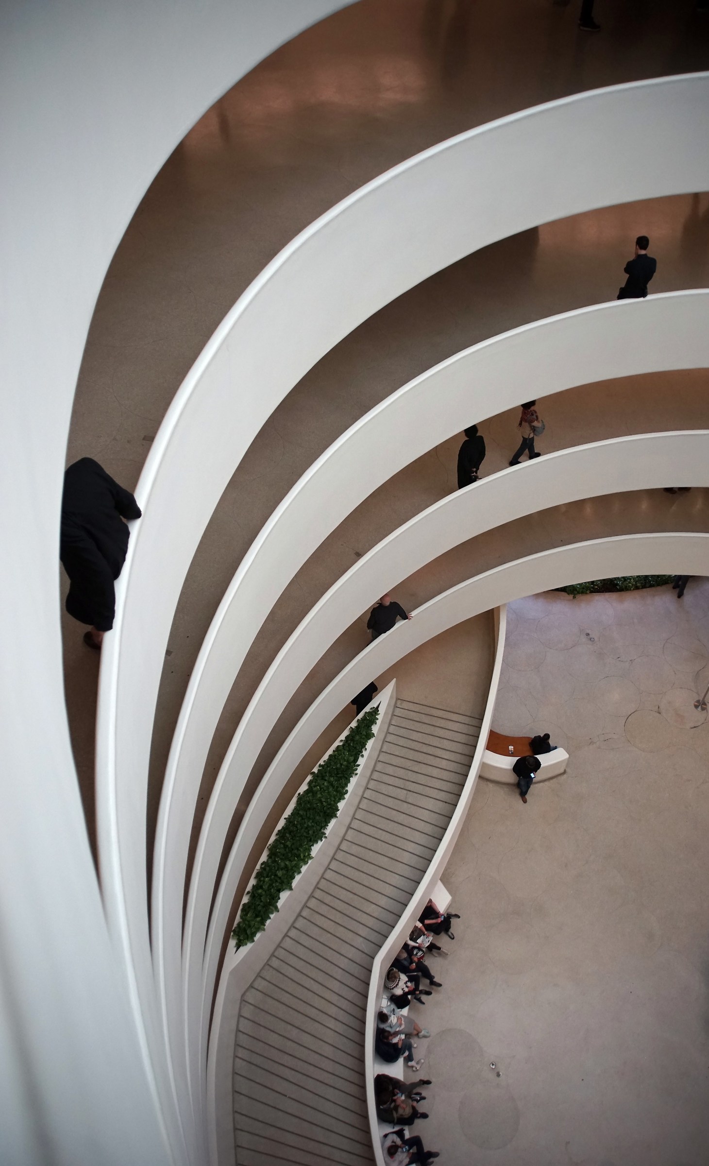 Guggenheim Museum / New York