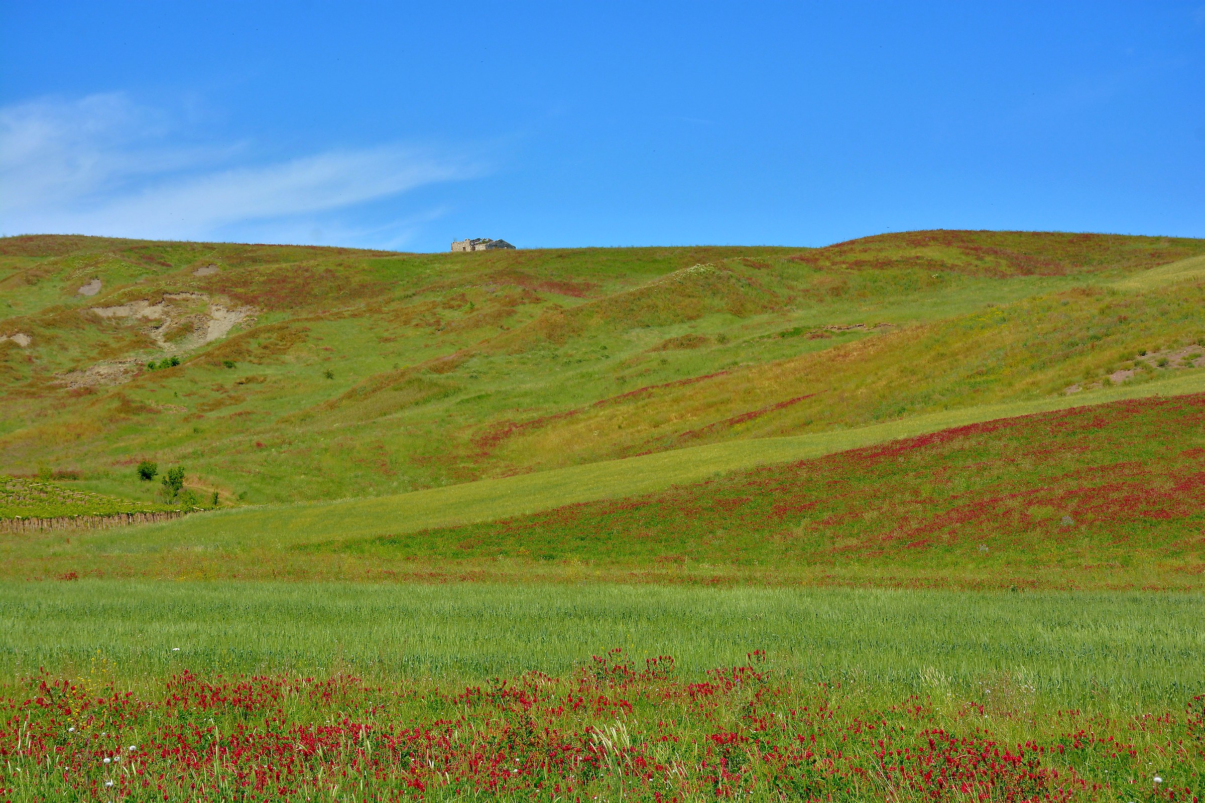 I Colori della Primavera