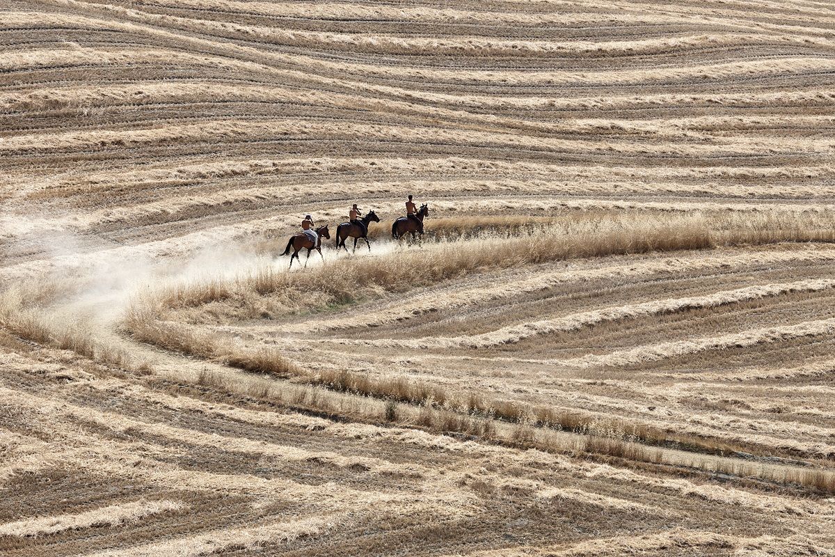 A cavallo tra le colline