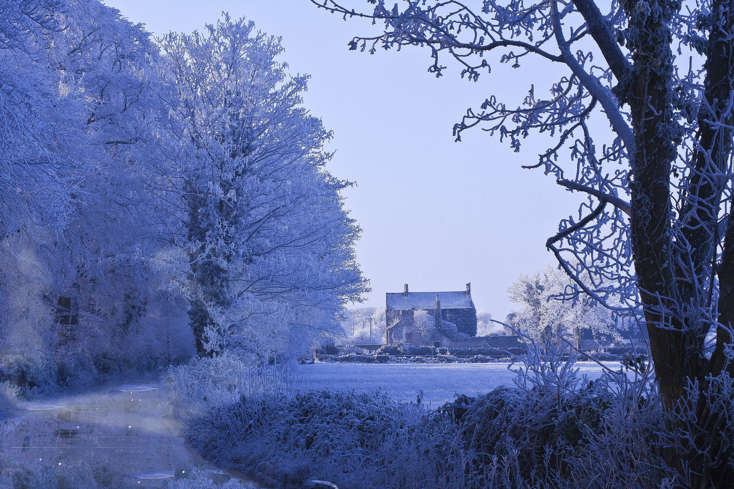 early morning on the derelect old school