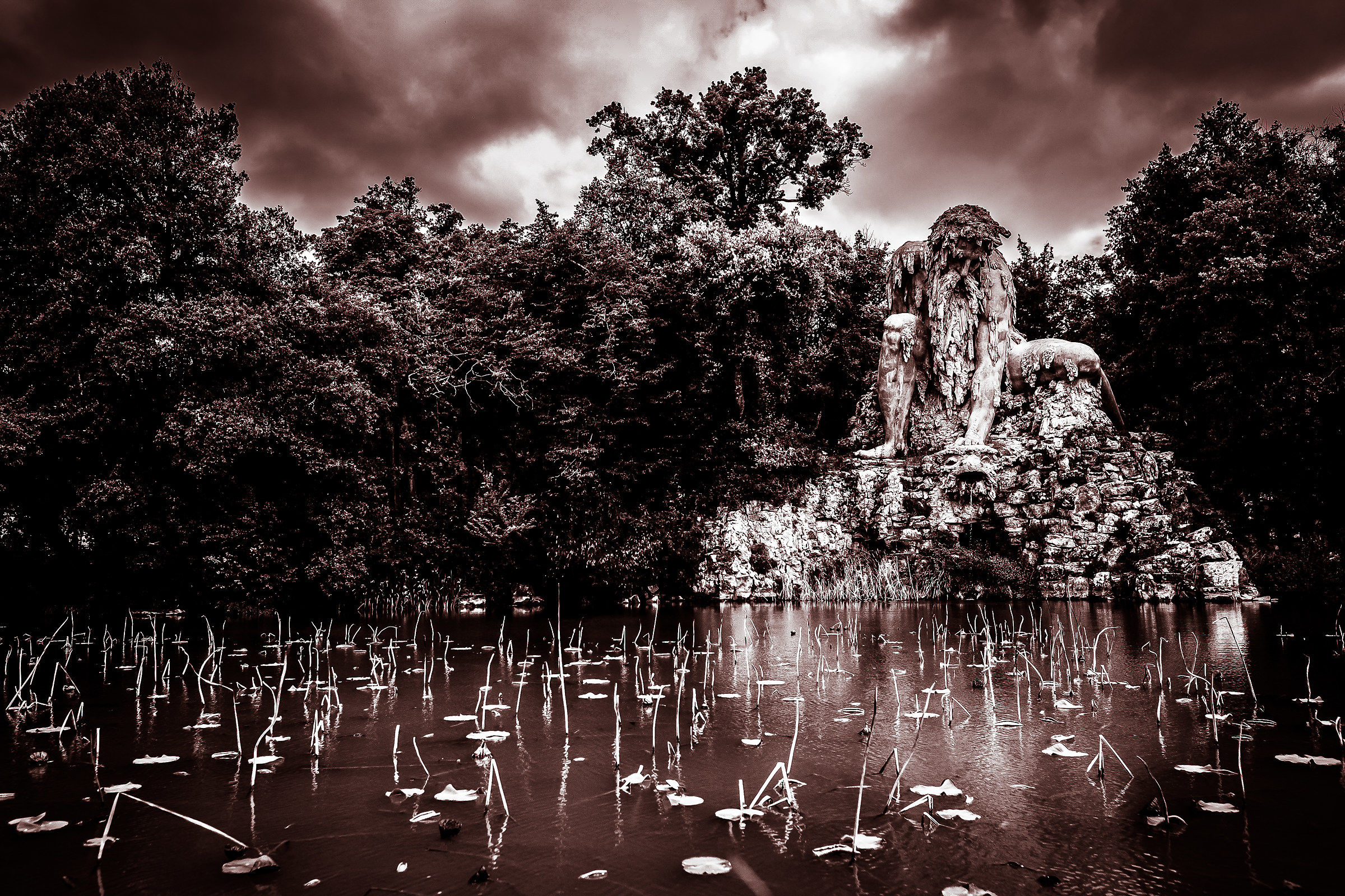 The giant and the water lilies