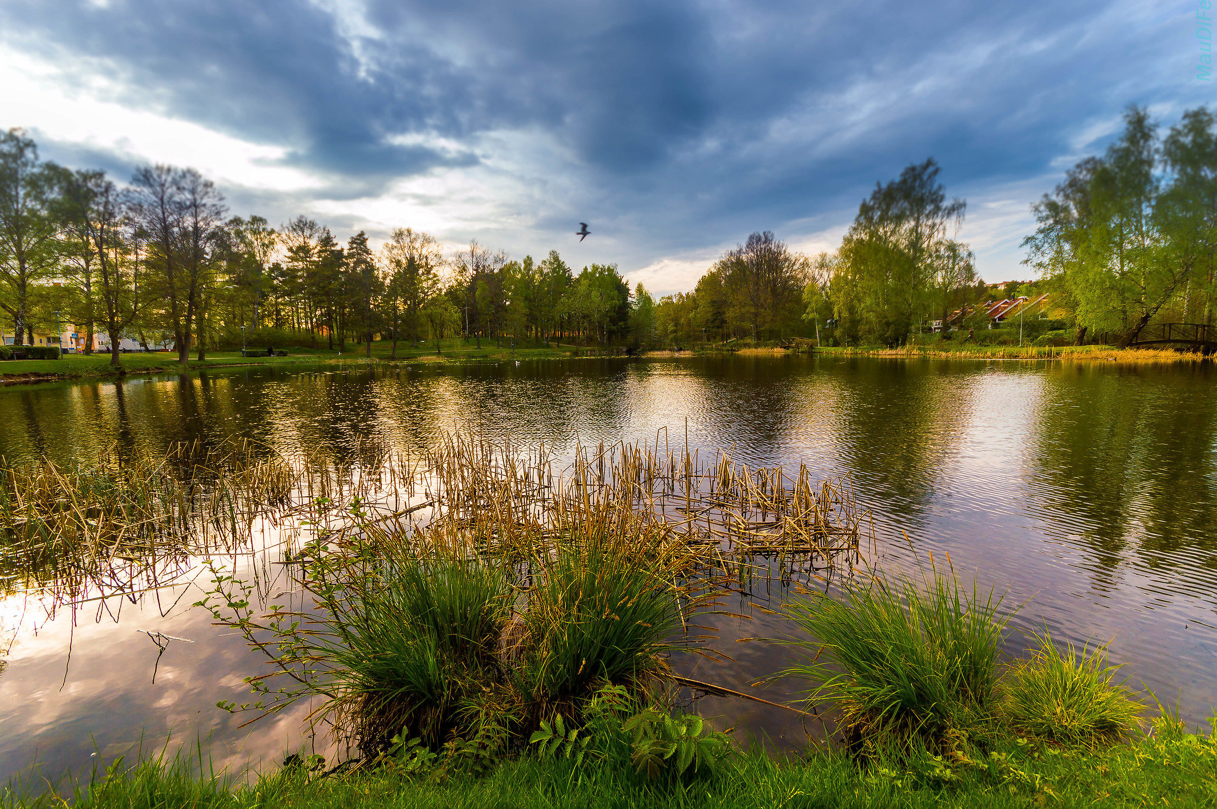 Nybro Lake