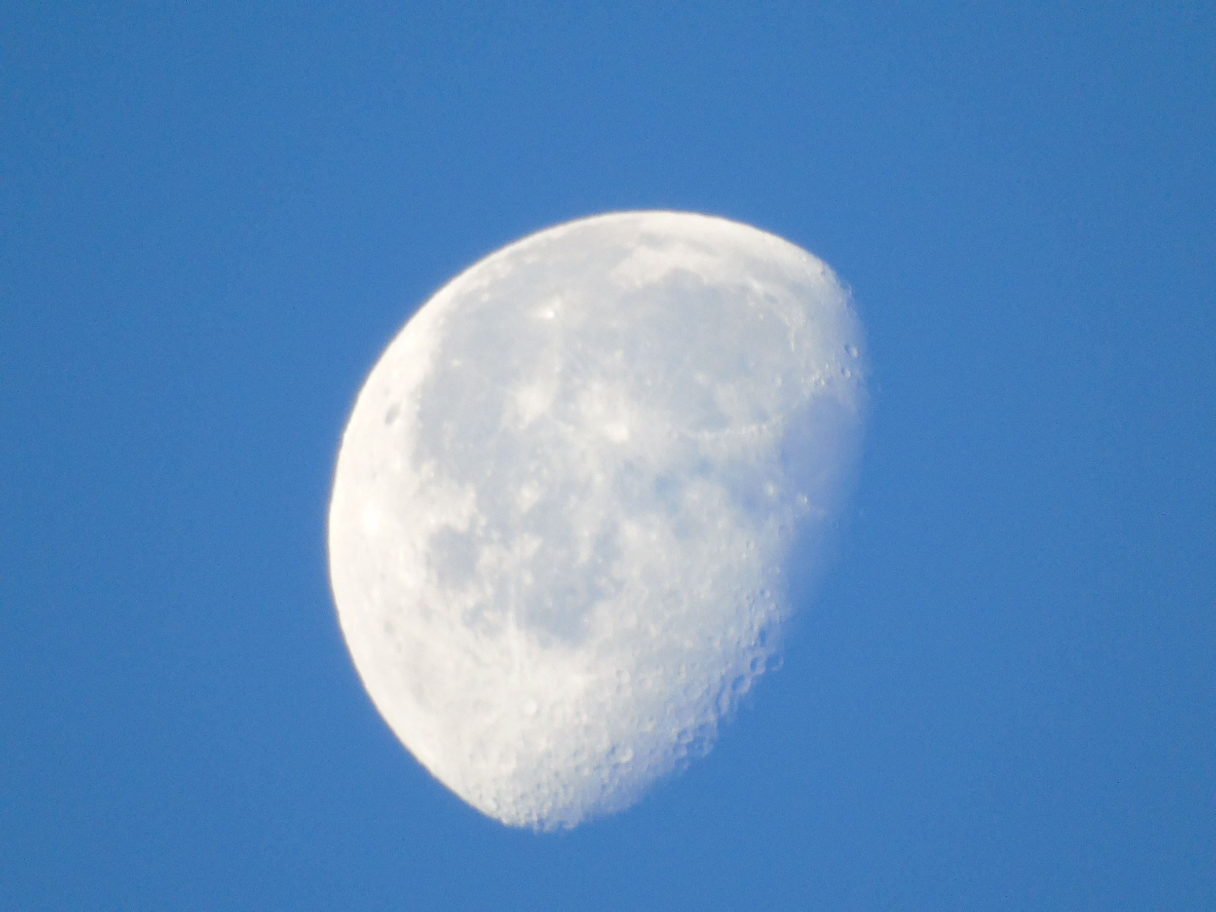 Luna di mattina