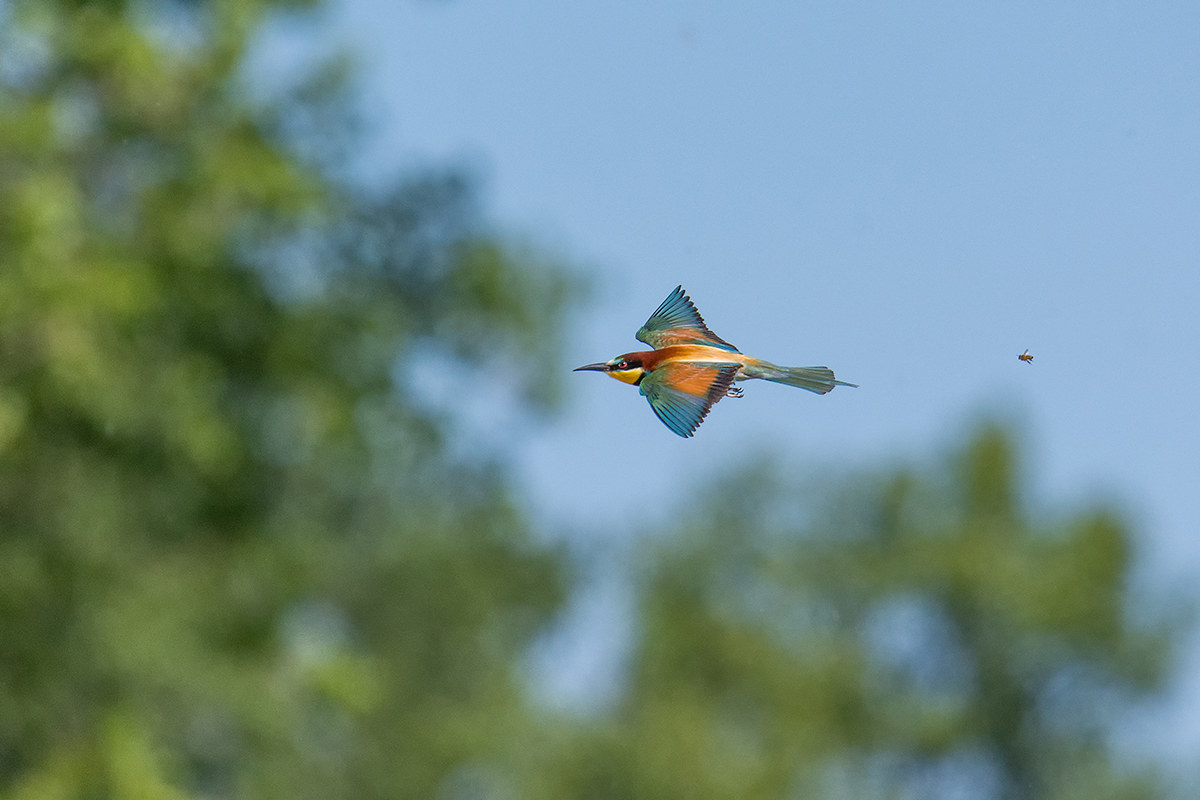 And we can see who runs more ahaha