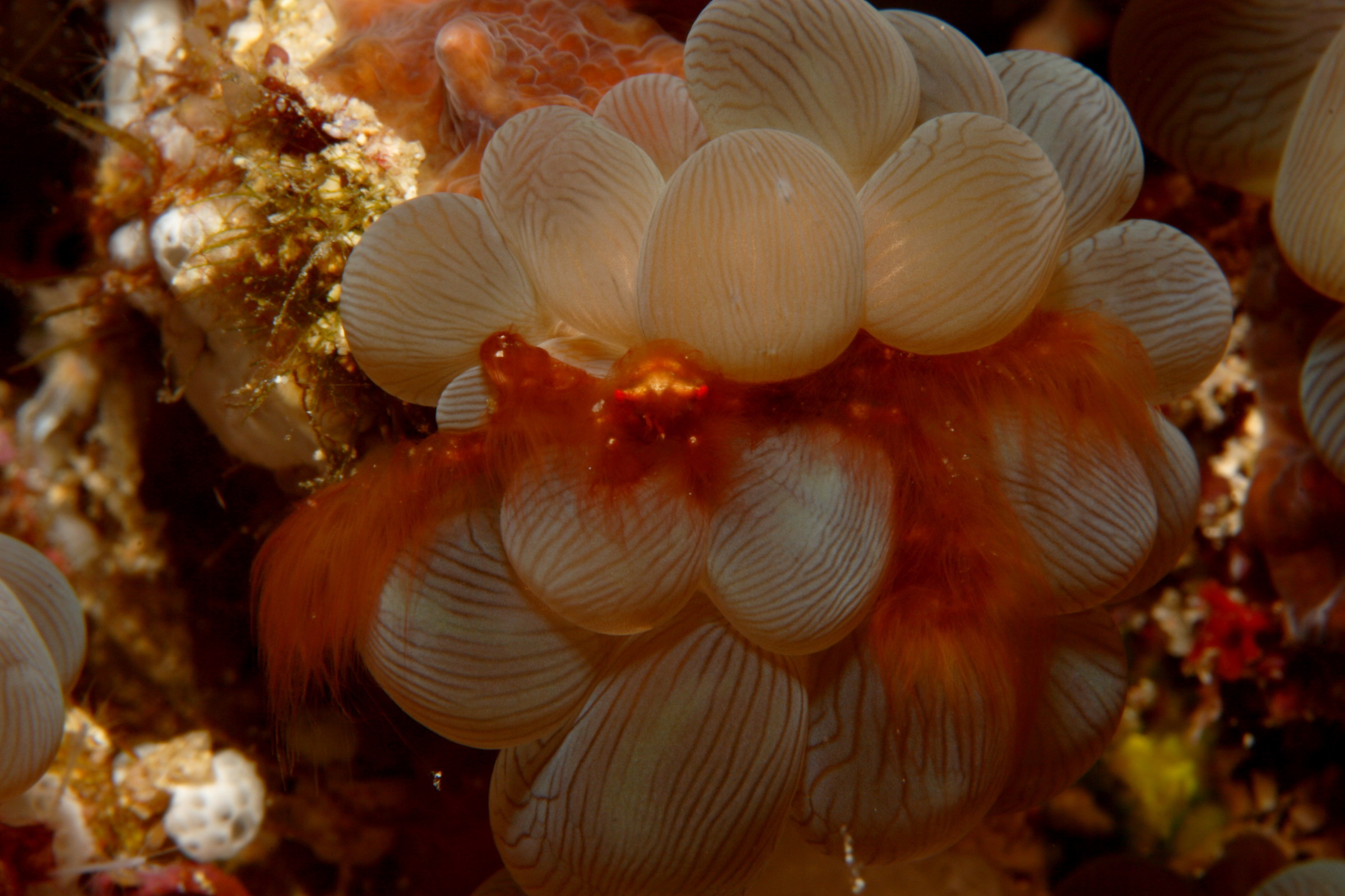 Let's see if I'm comfortable