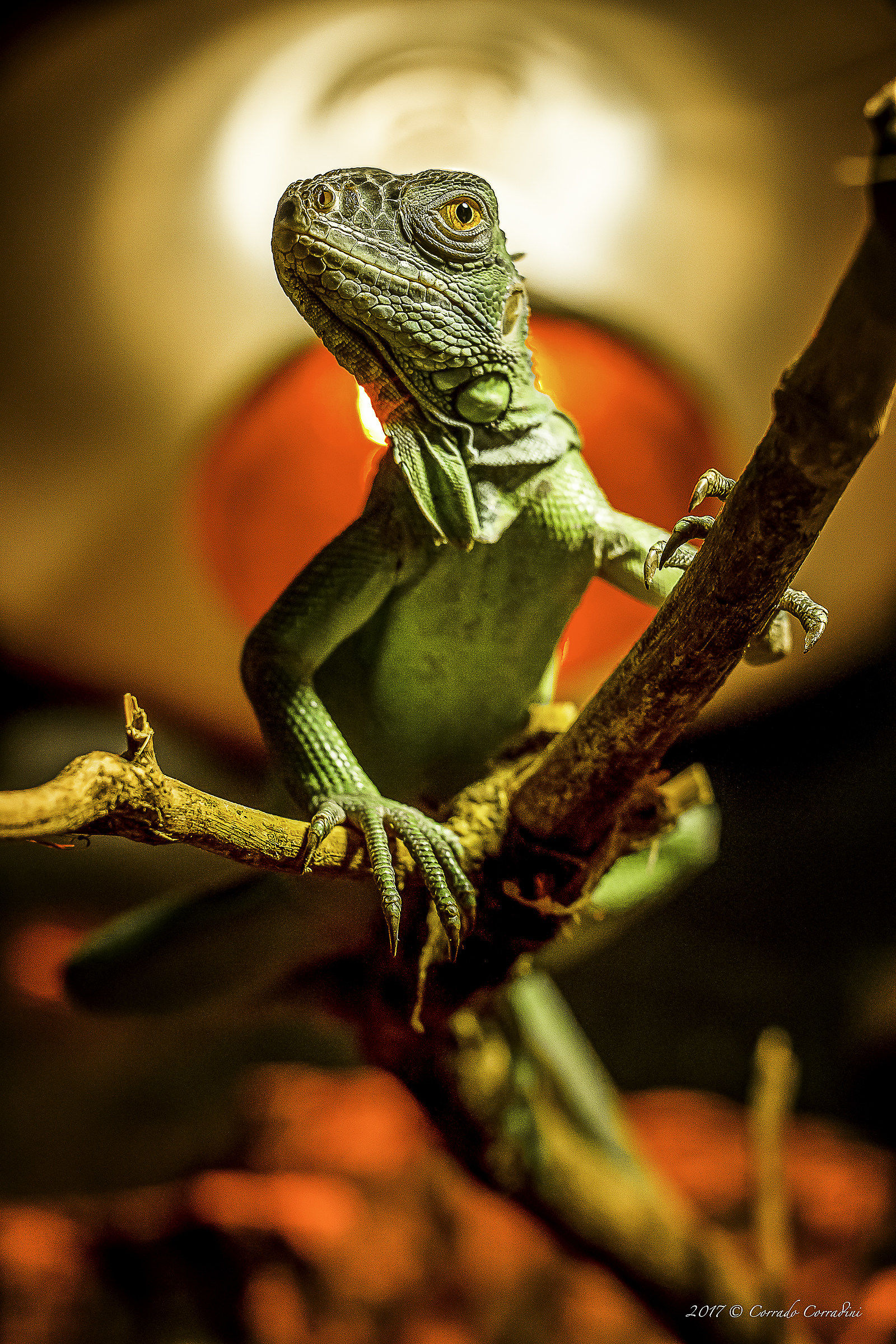 From what planet do you arrive!?!