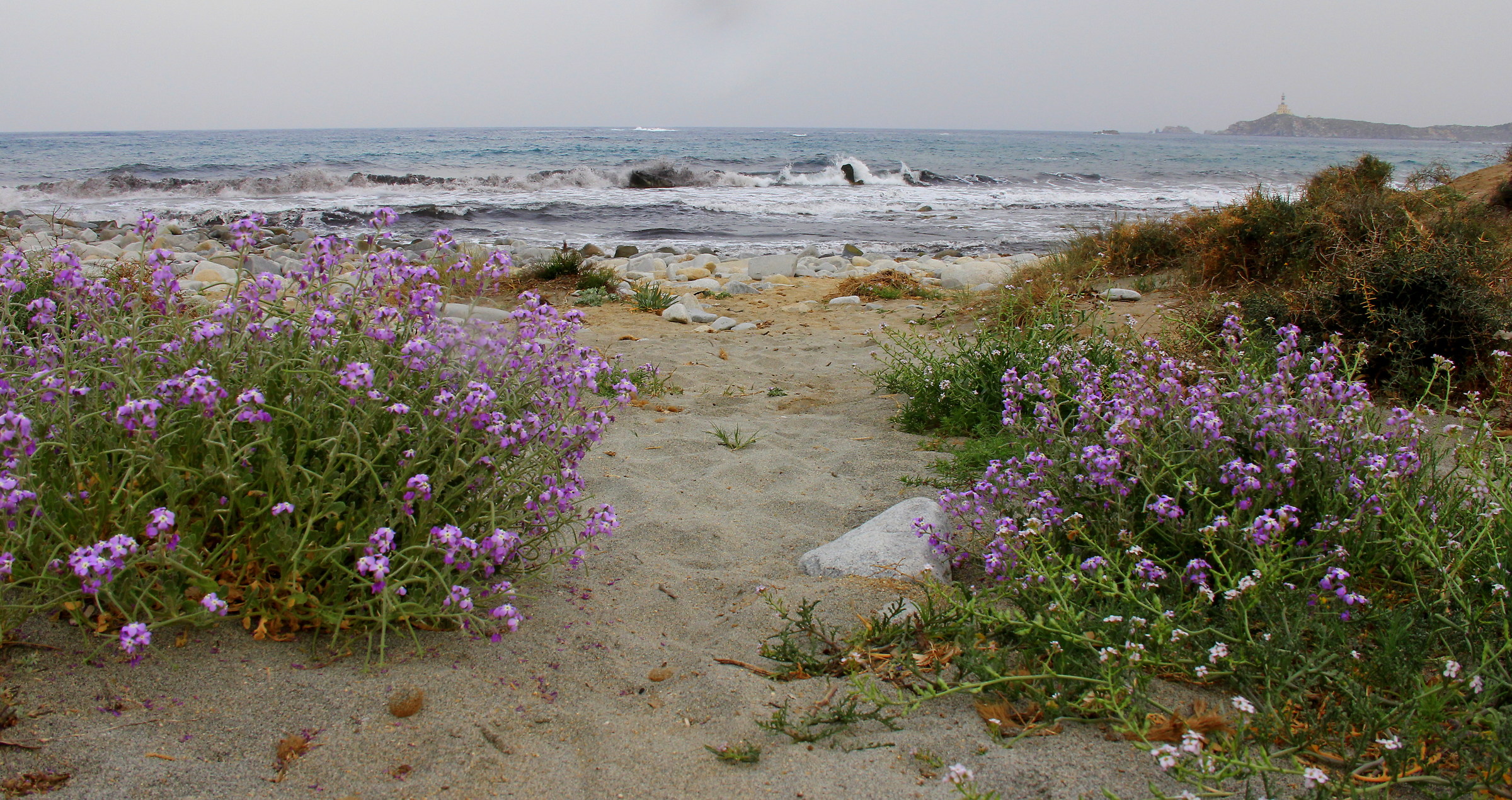 Spiaggia in veste primaverile