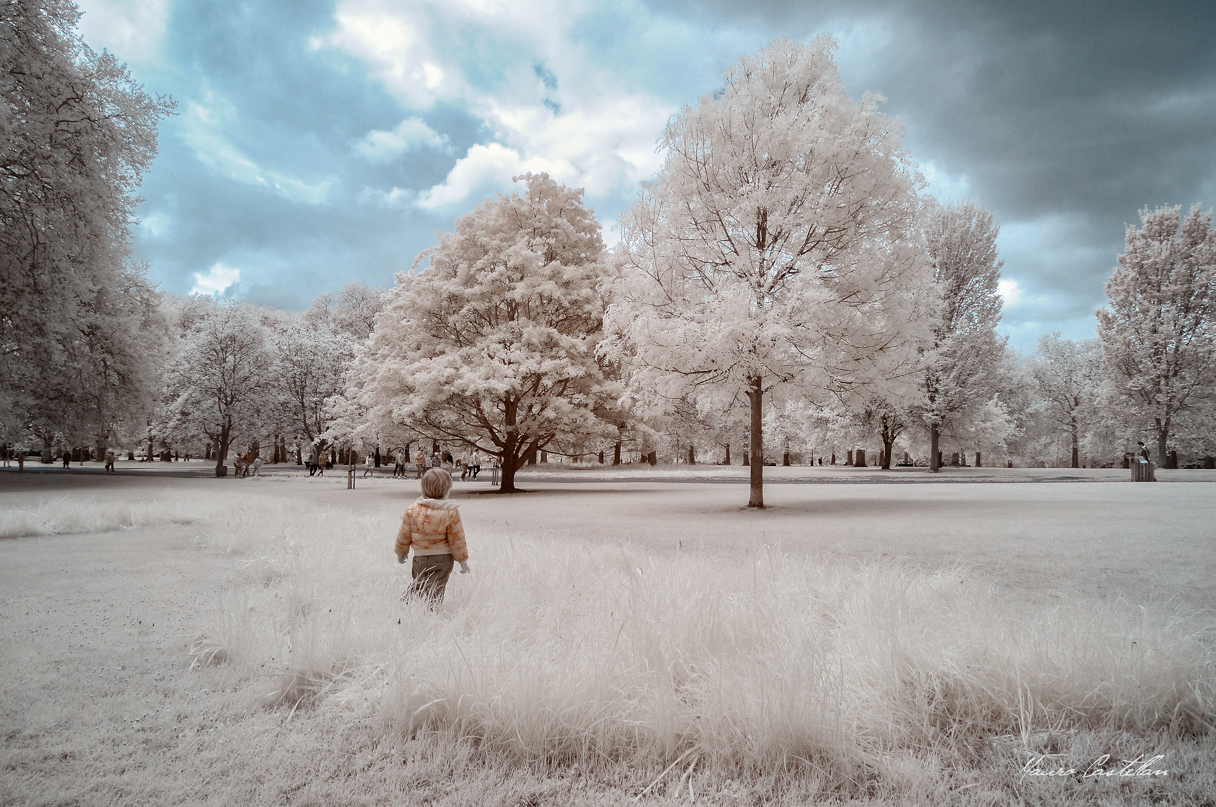 Through a child's eyes