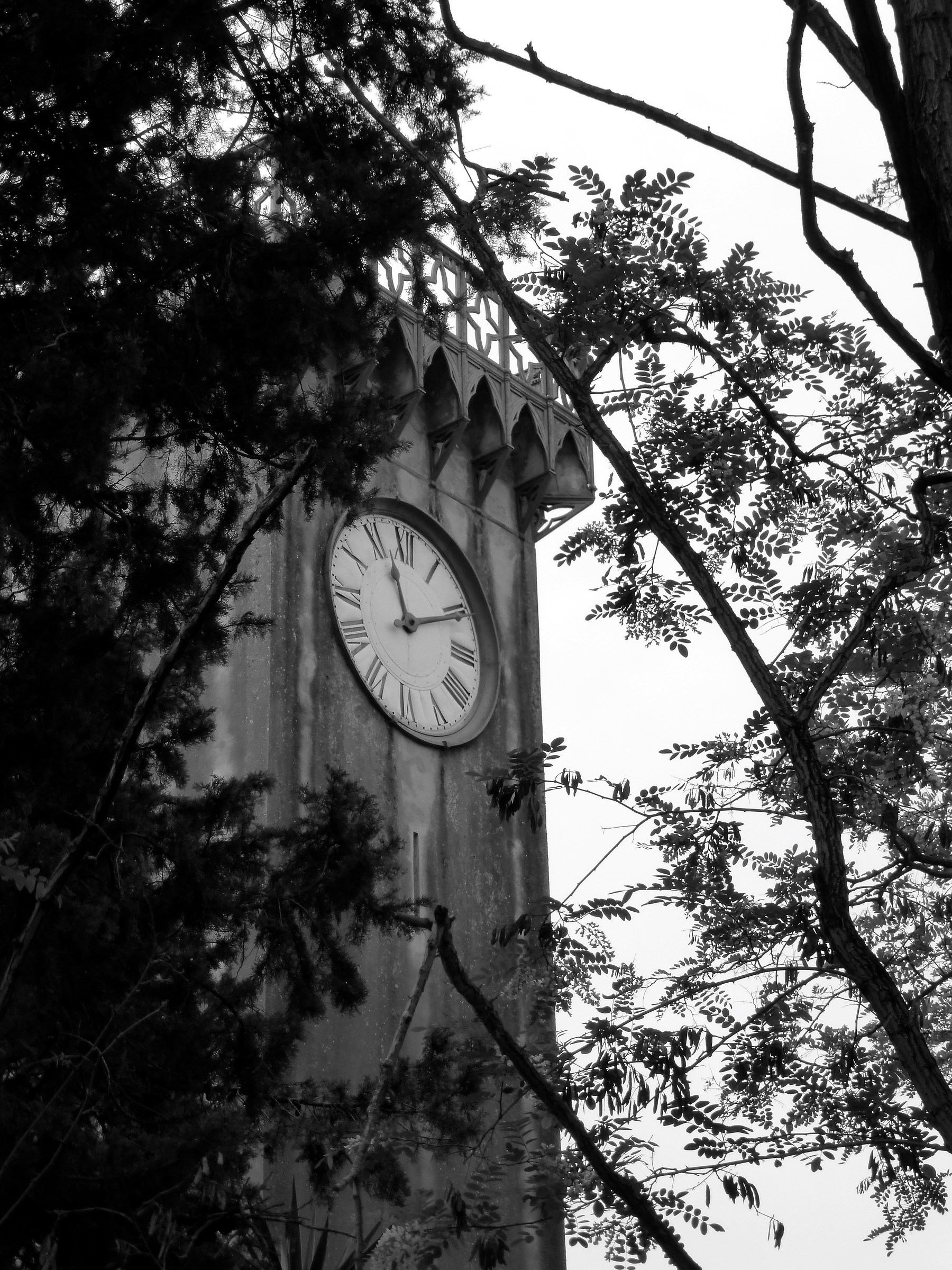 The clock tower