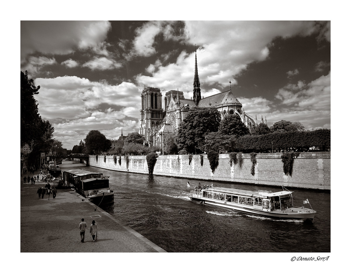 Cathedral of Nôtre Dame and Seine