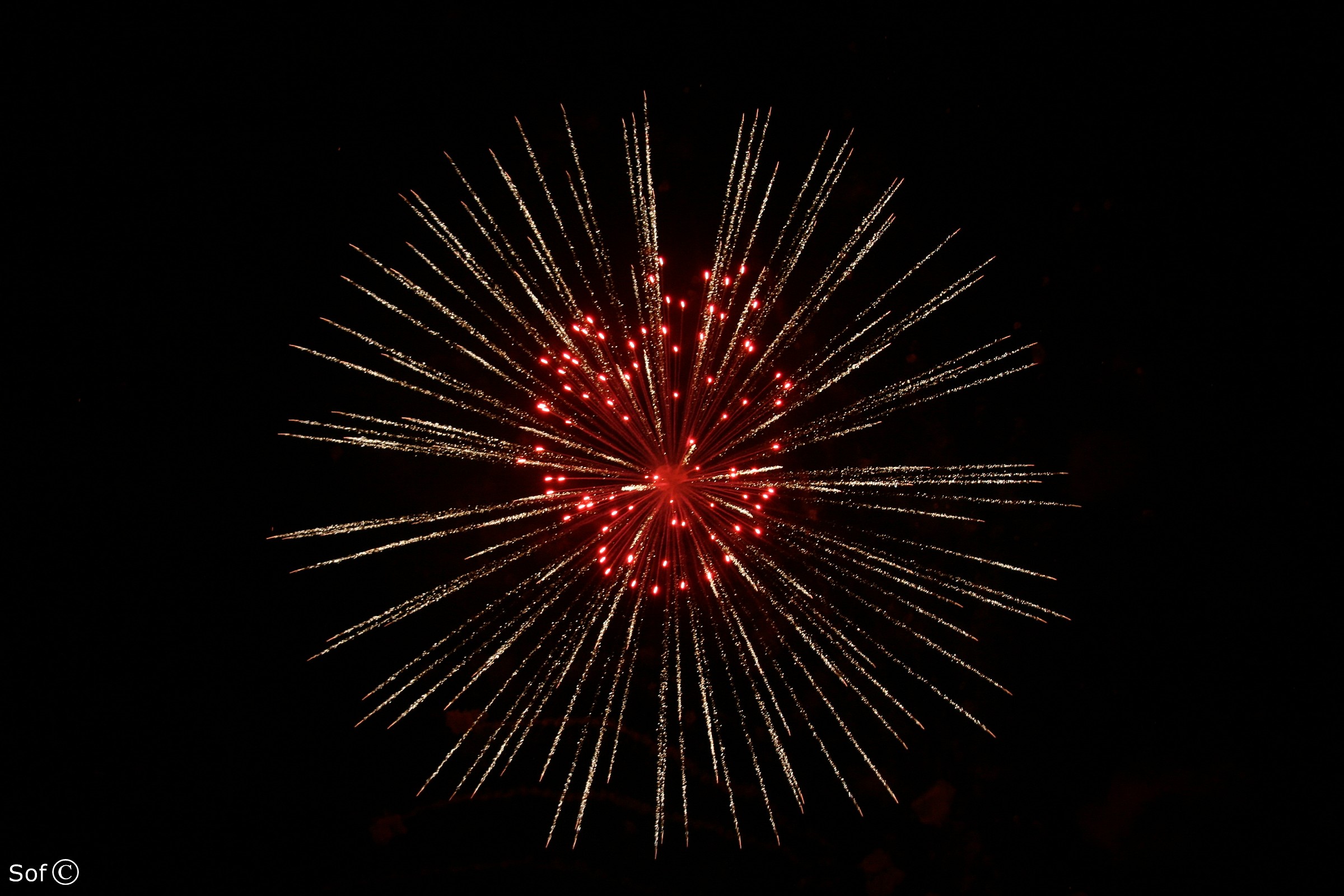 The Firework