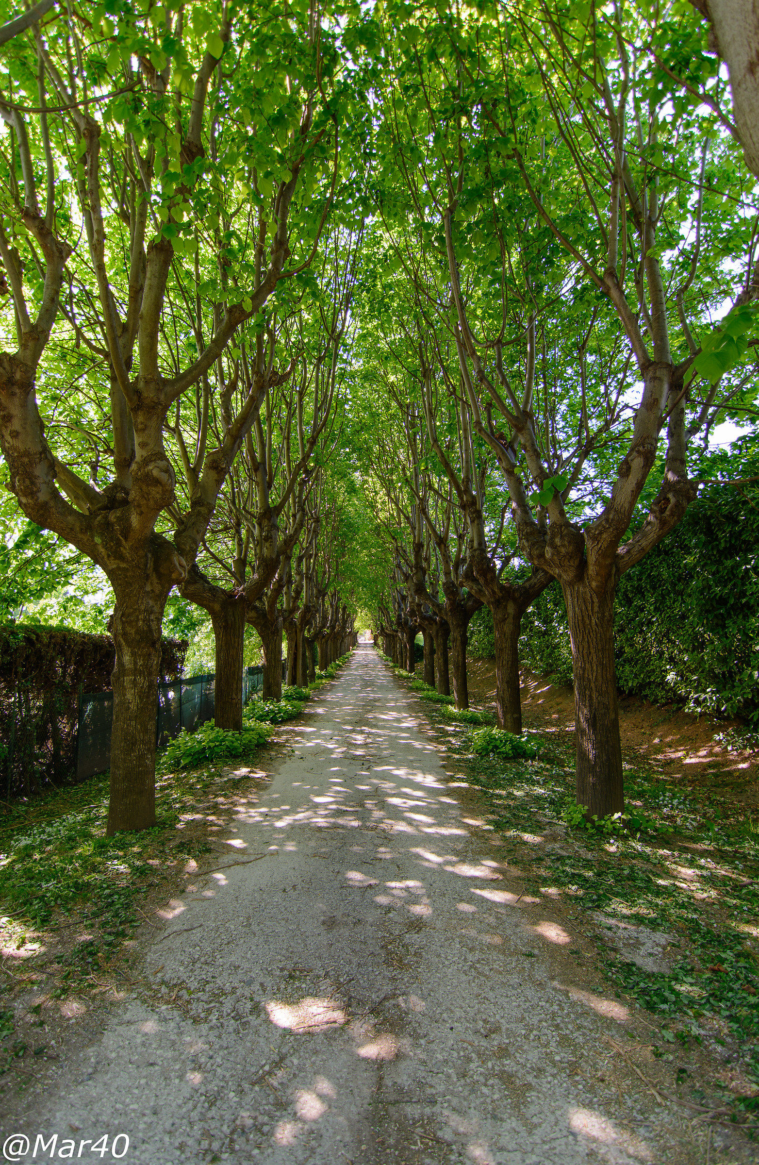 Da qui all'infinito...