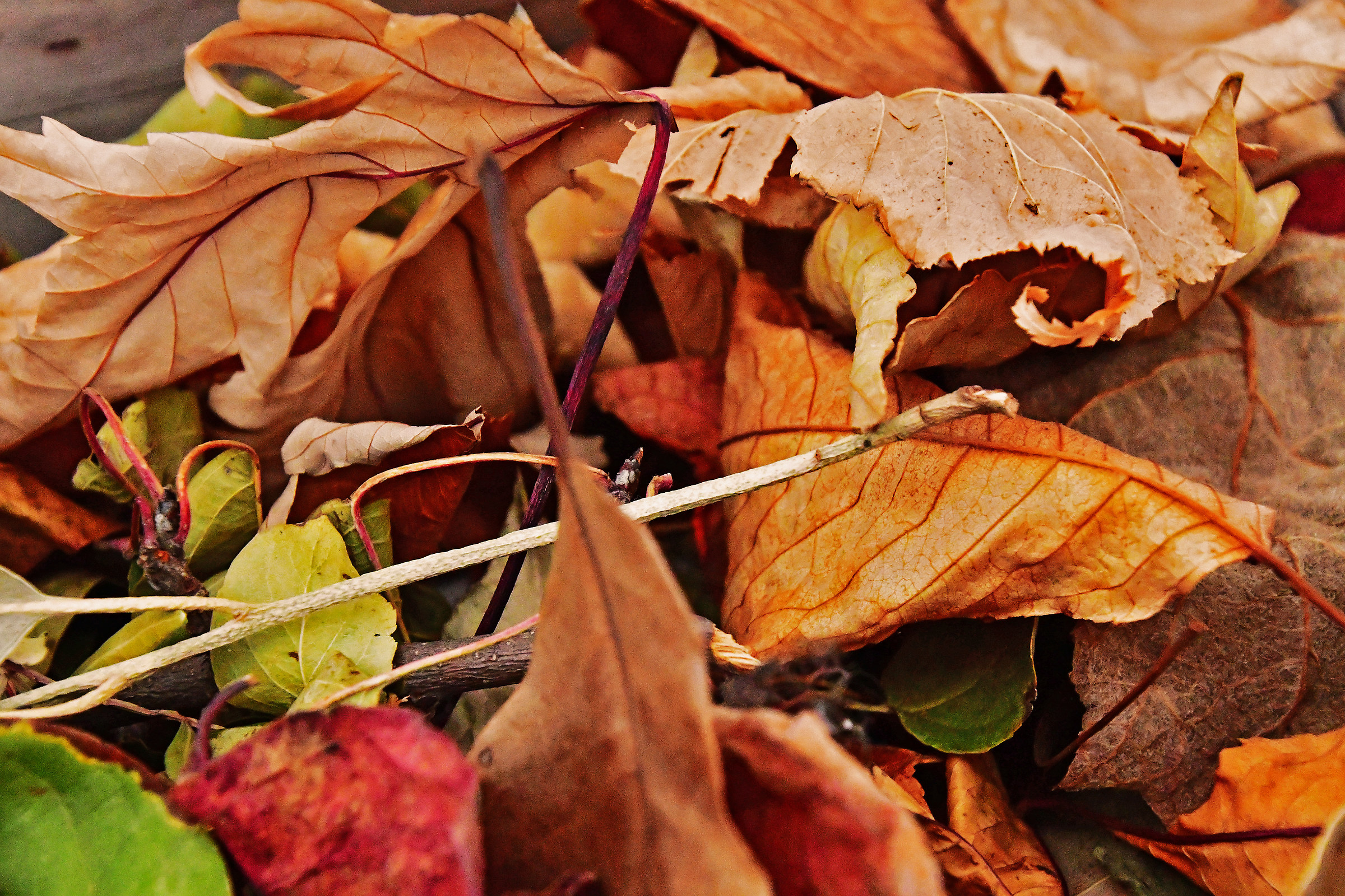 luce ambiente 6400 iso