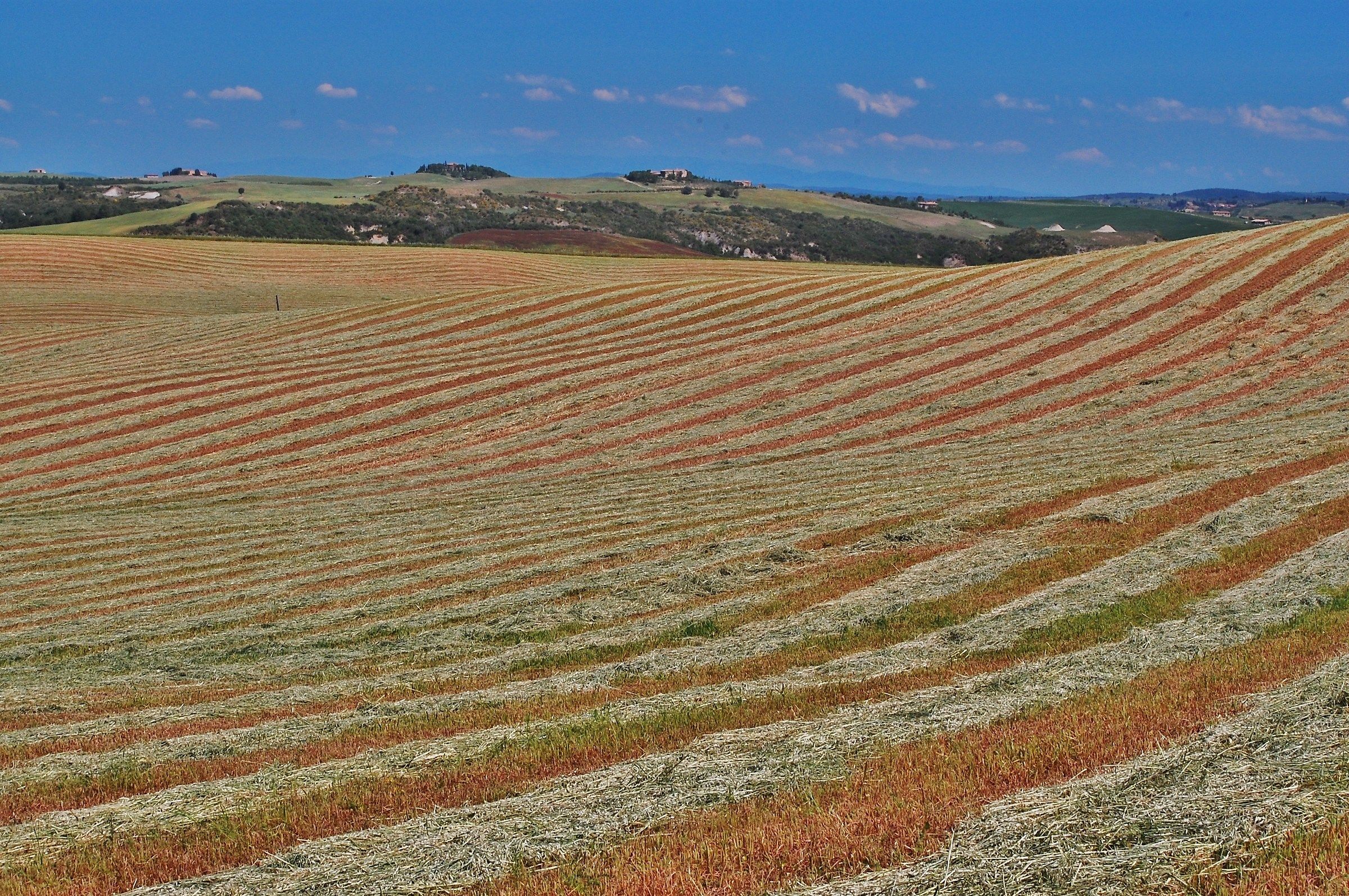 I ricami del contadino