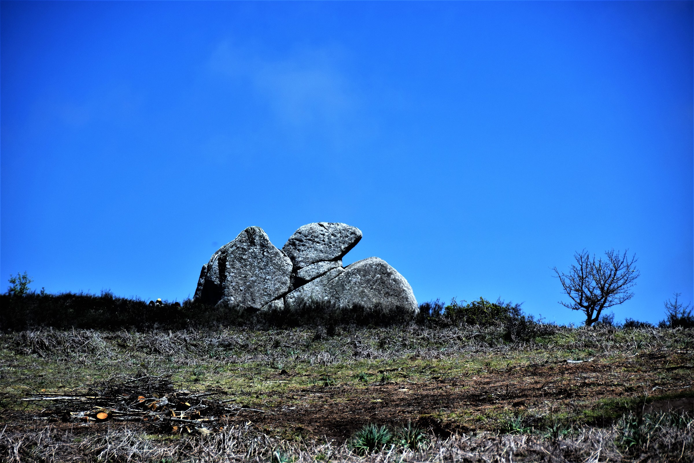 Megaliti dell'Argimusco - aquila