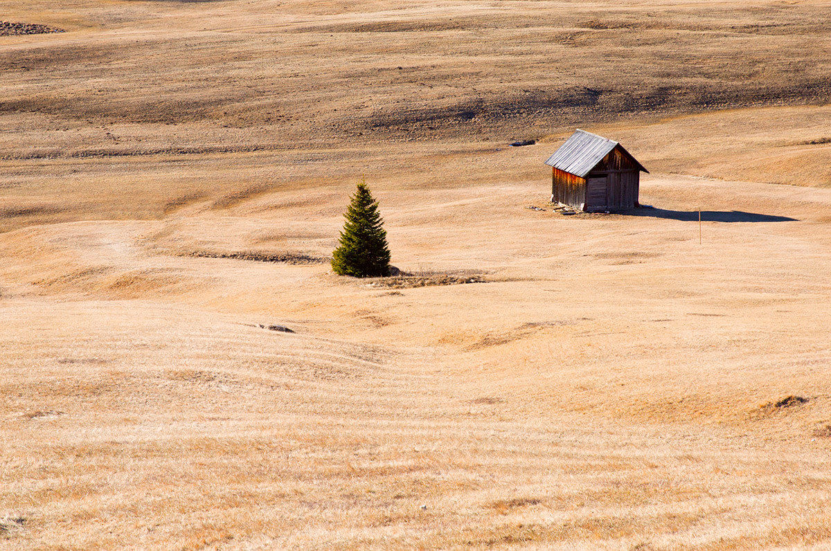 At Prato Piazza (Bz)