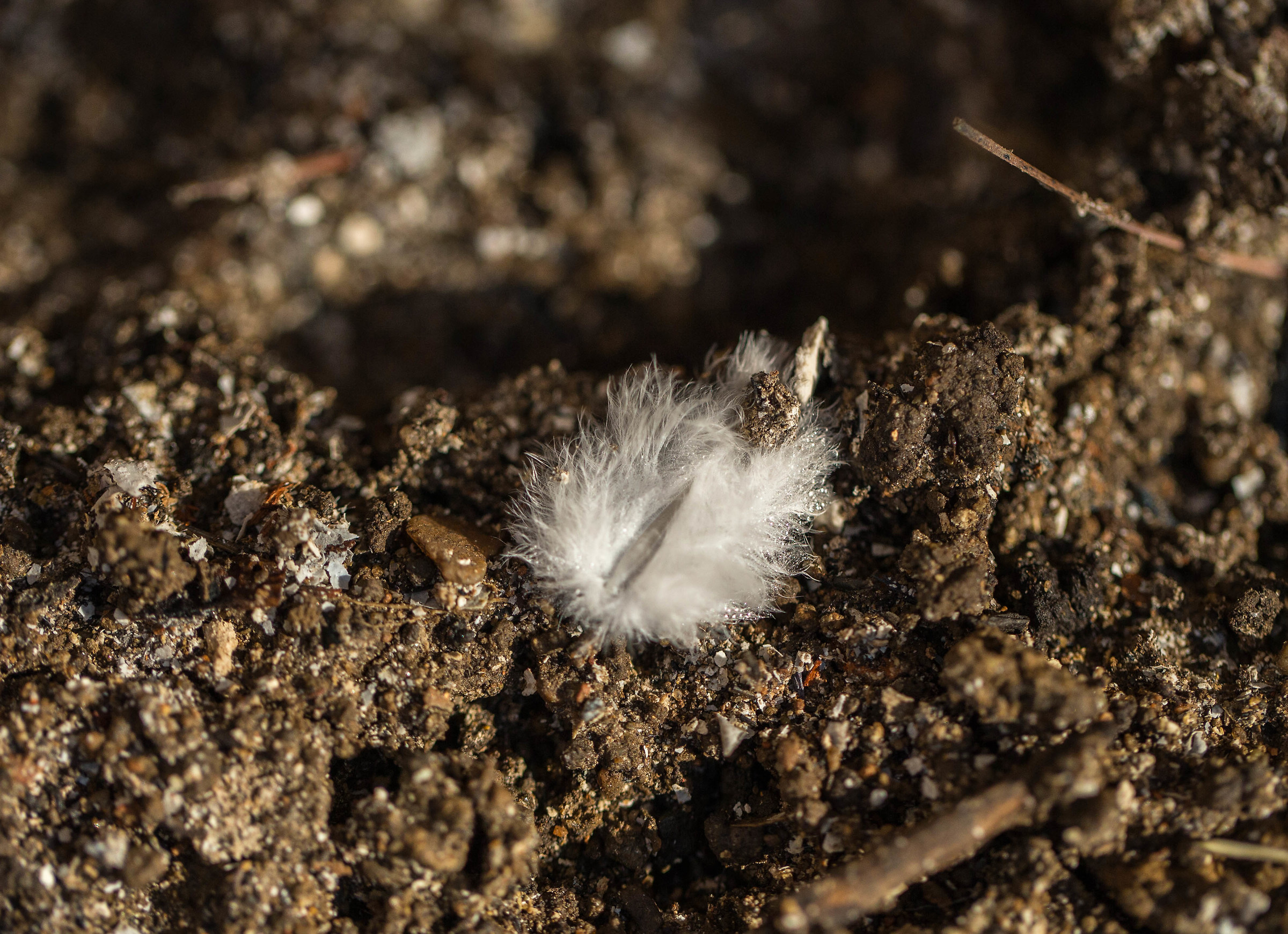 An angel has passed!