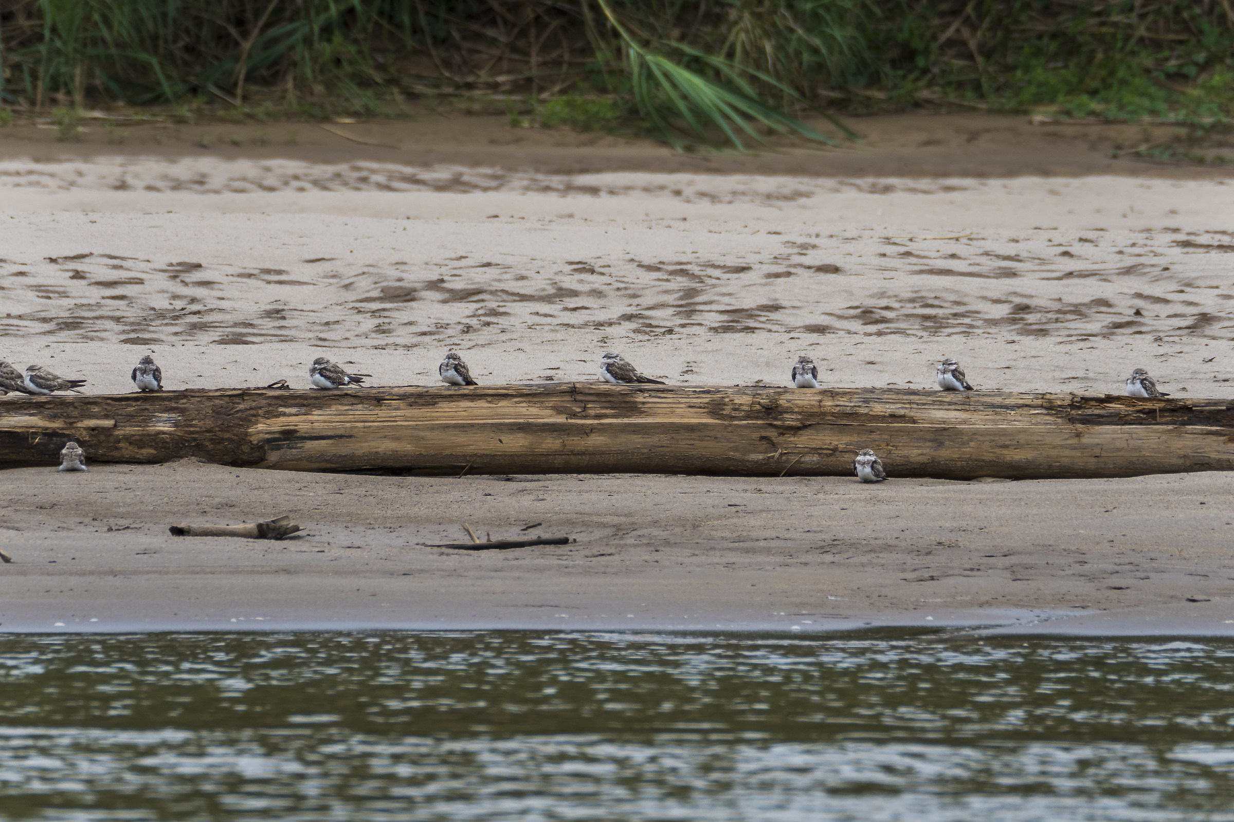 Regolarmente in ordine