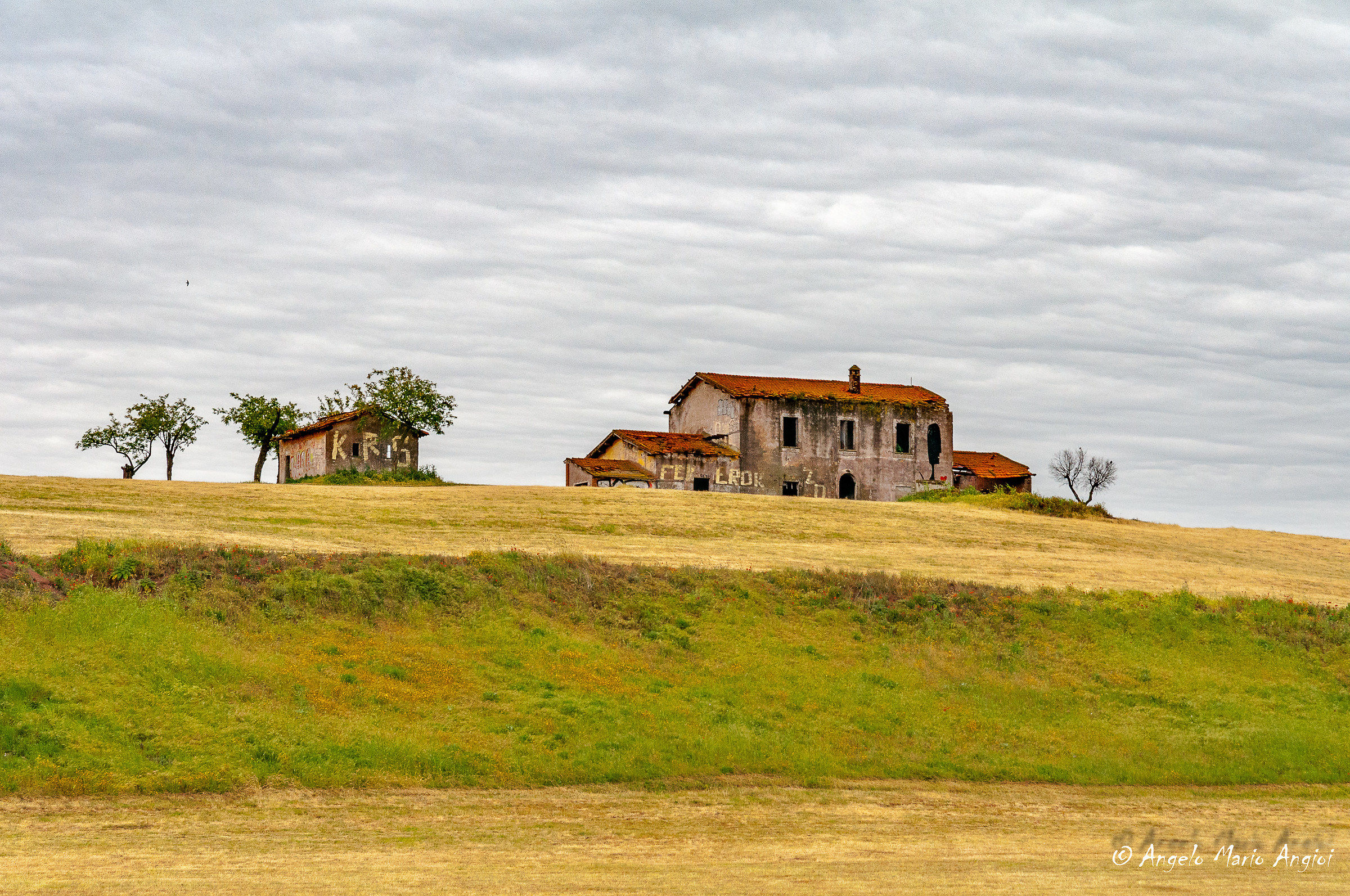 Traditions and cultures lost