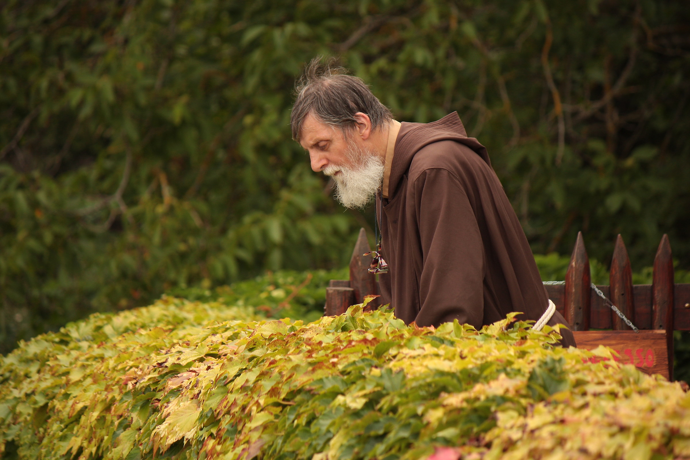 First control of the faithful ... then from the top of the s...