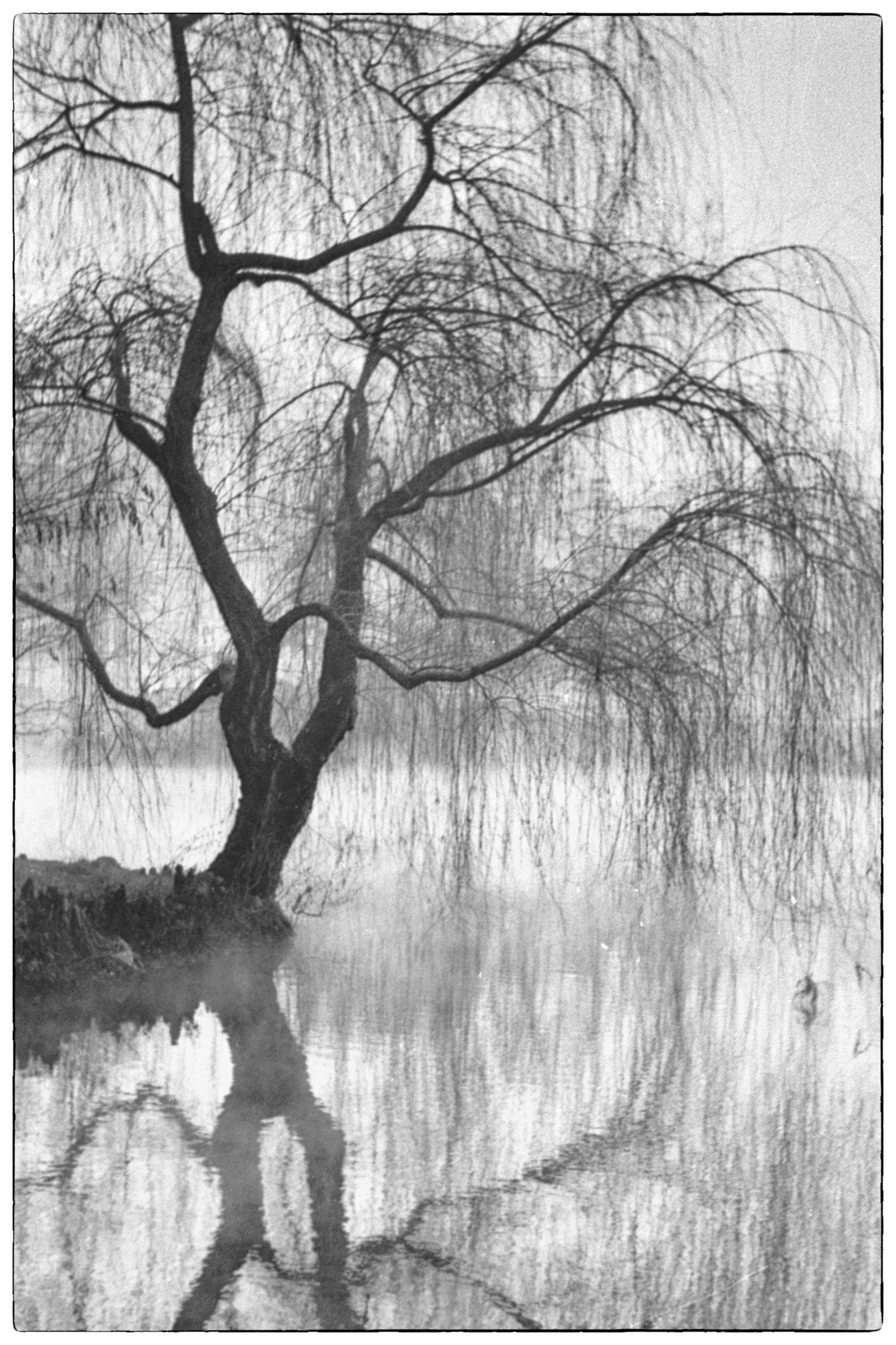 Mattina di Novembre ai Giardini