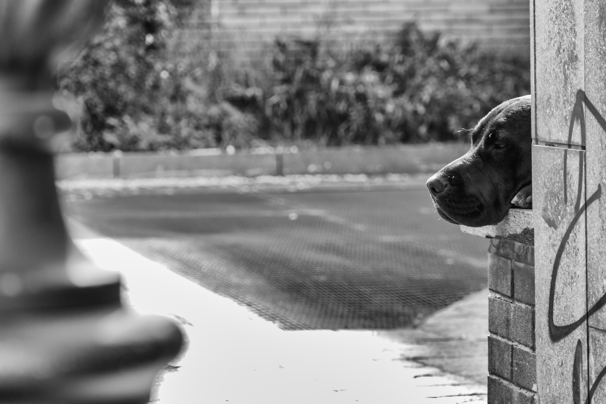 Snap Without Authorization of the Subject.