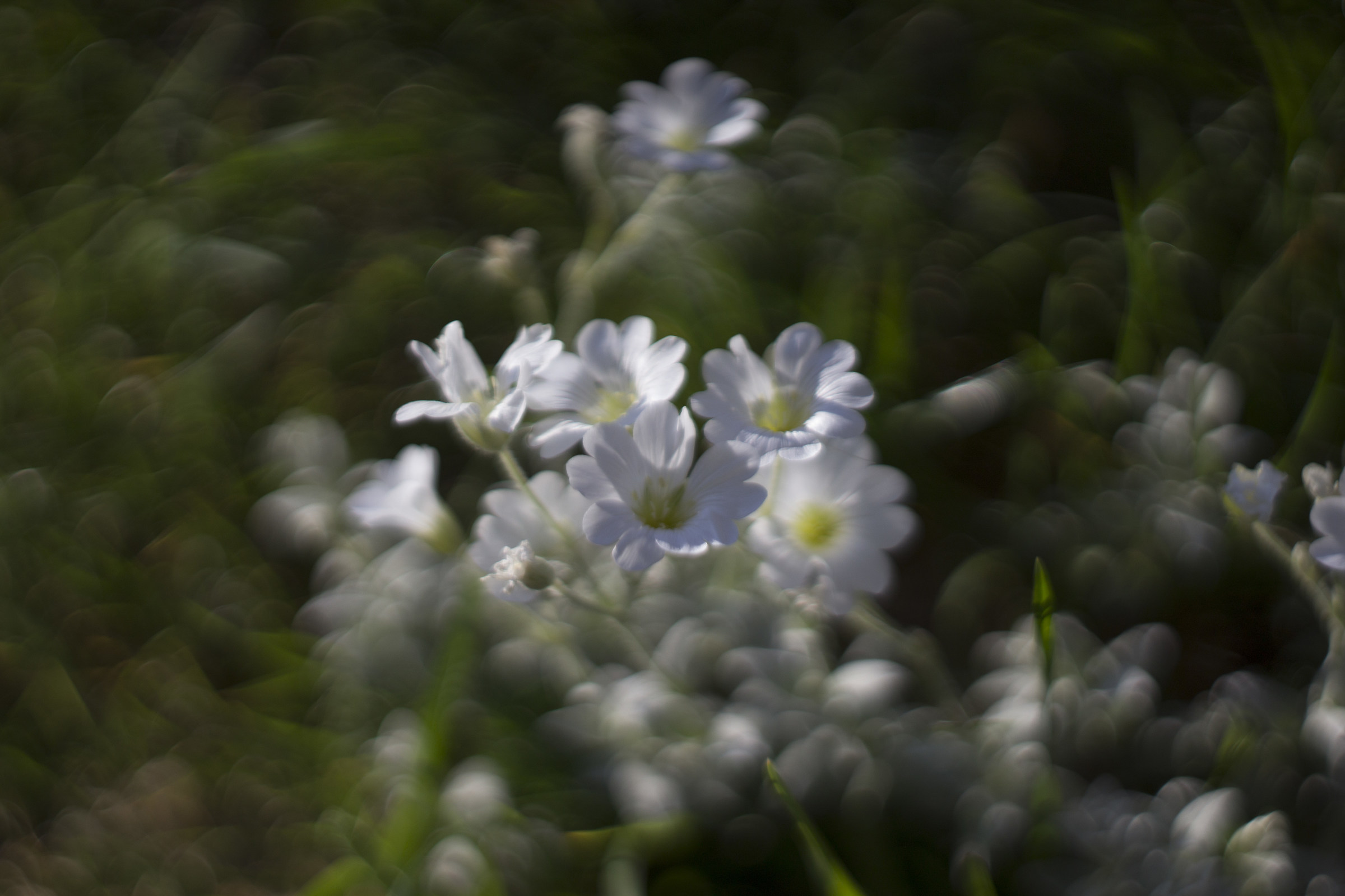 Imperfezioni oniriche