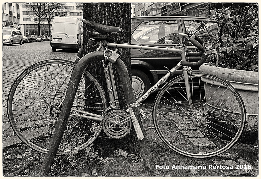 The whole world is Country