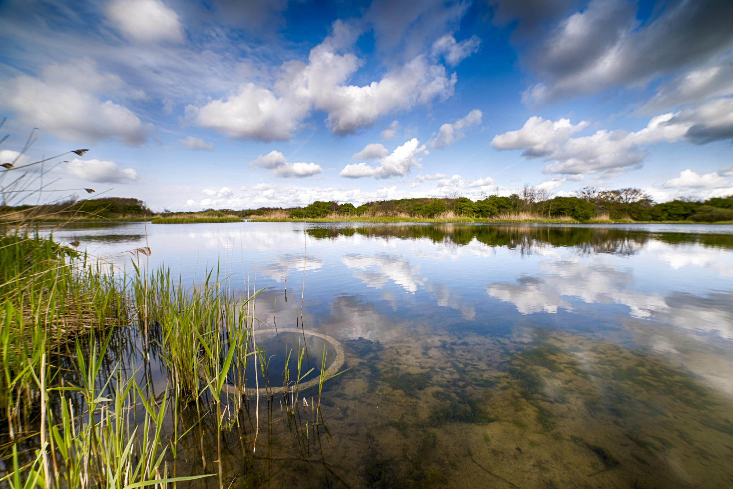A lake between the dunes