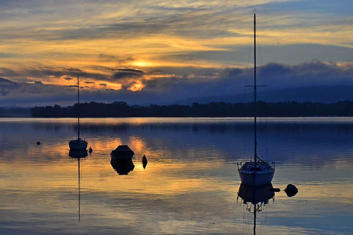 The tranquility of the lake