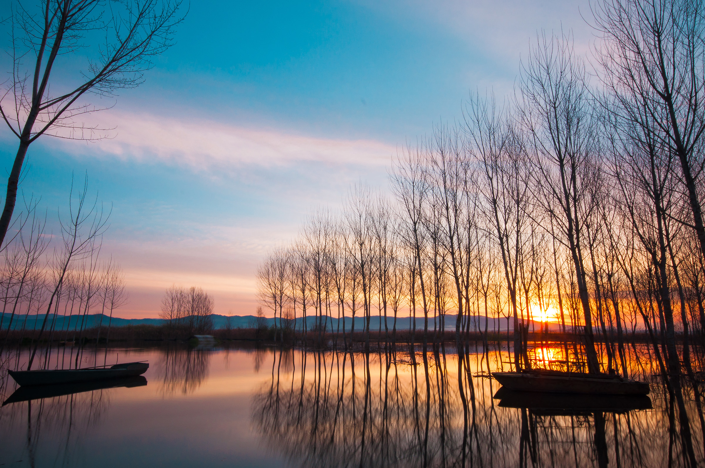 Alba al padule di Fucecchio