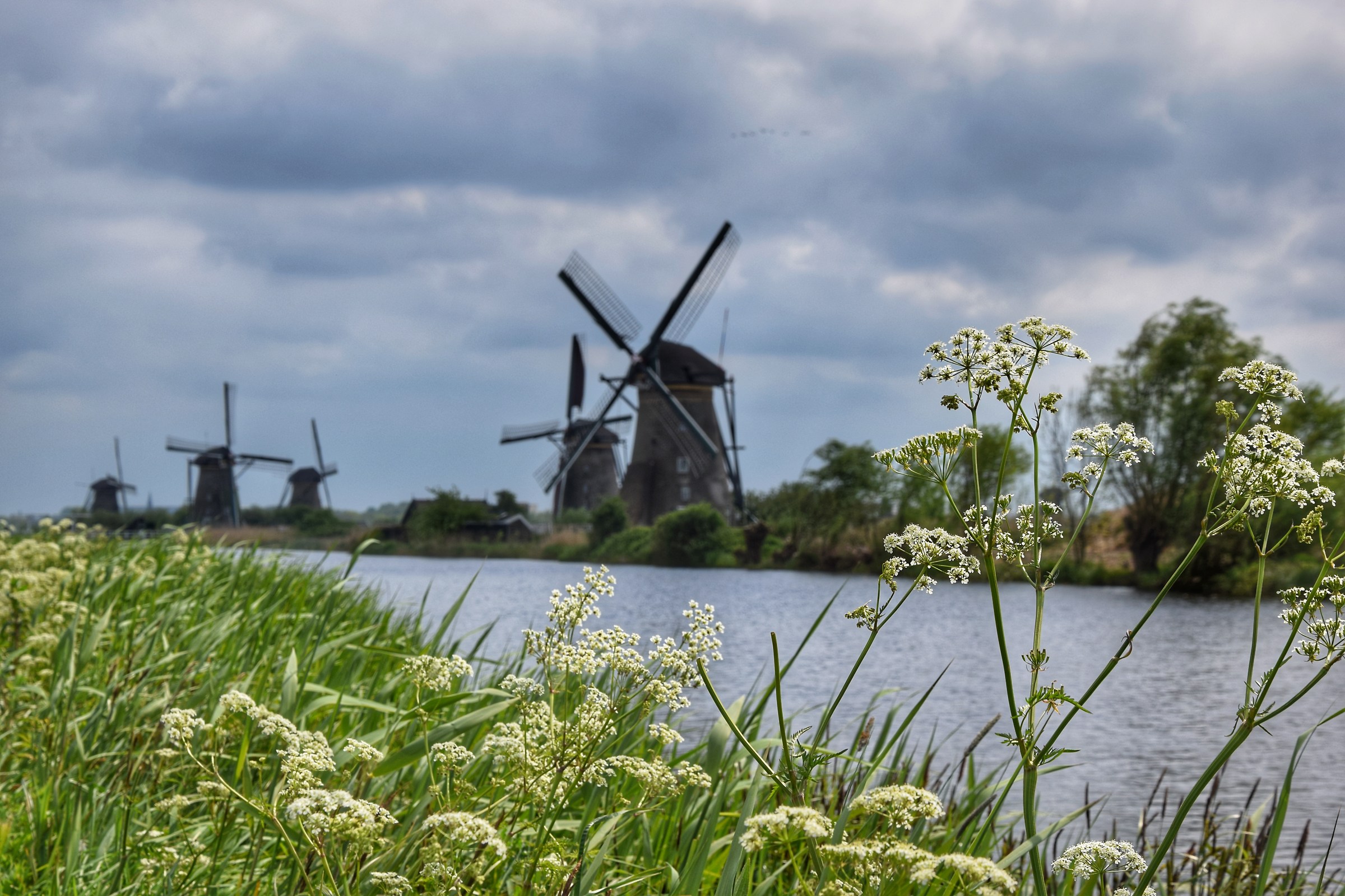 kinderdijk