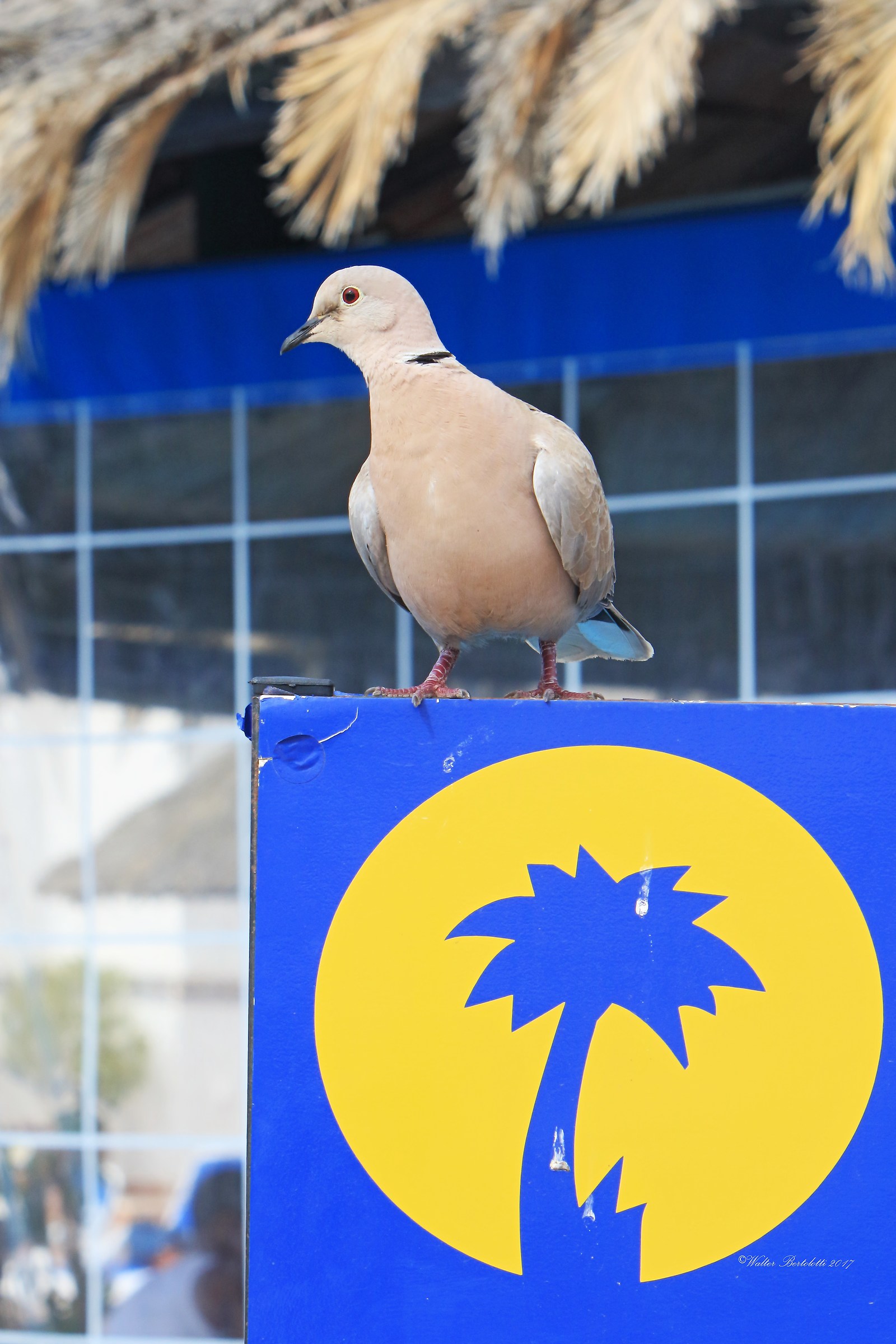 I look forward to happy hour