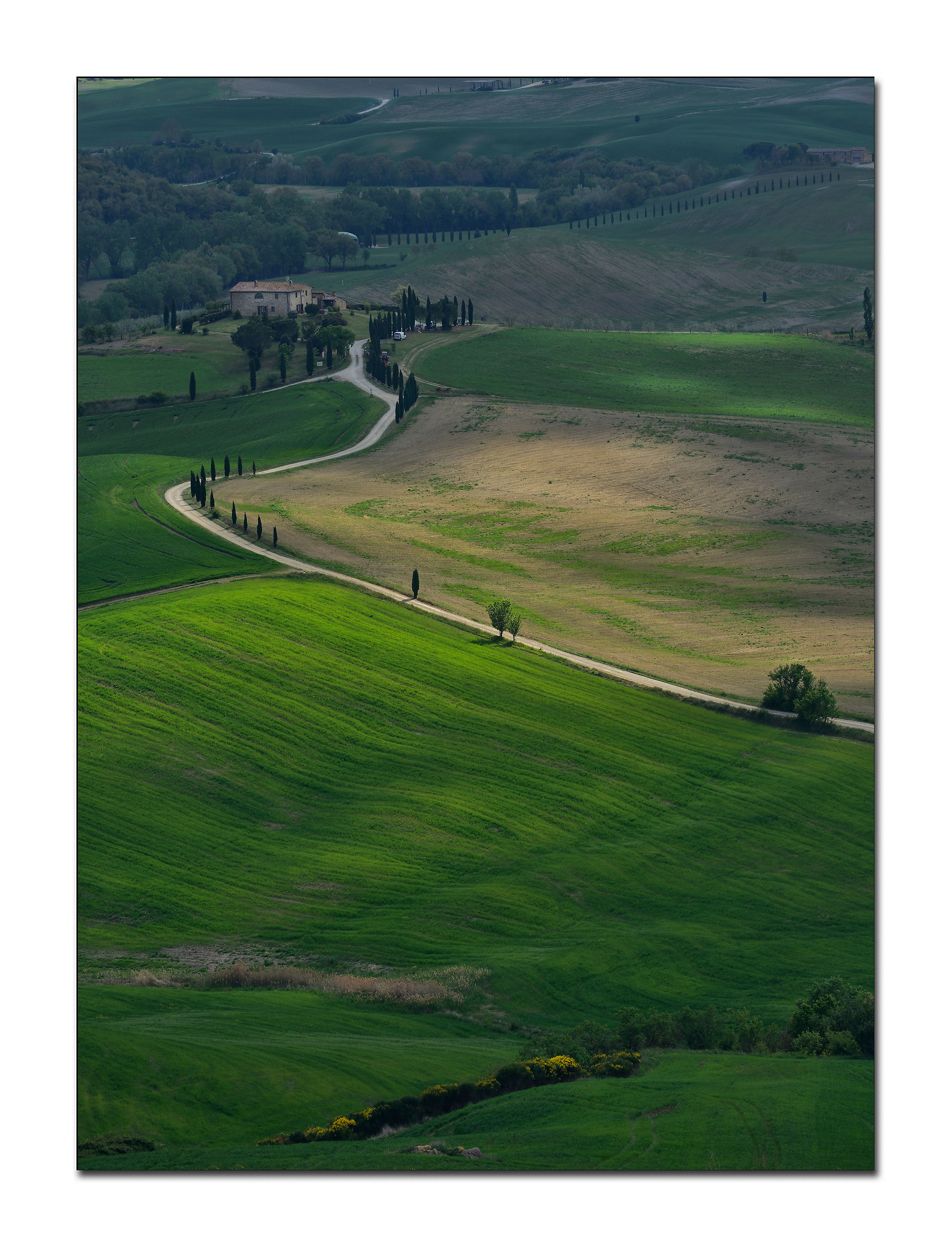 Tuscan Landscape