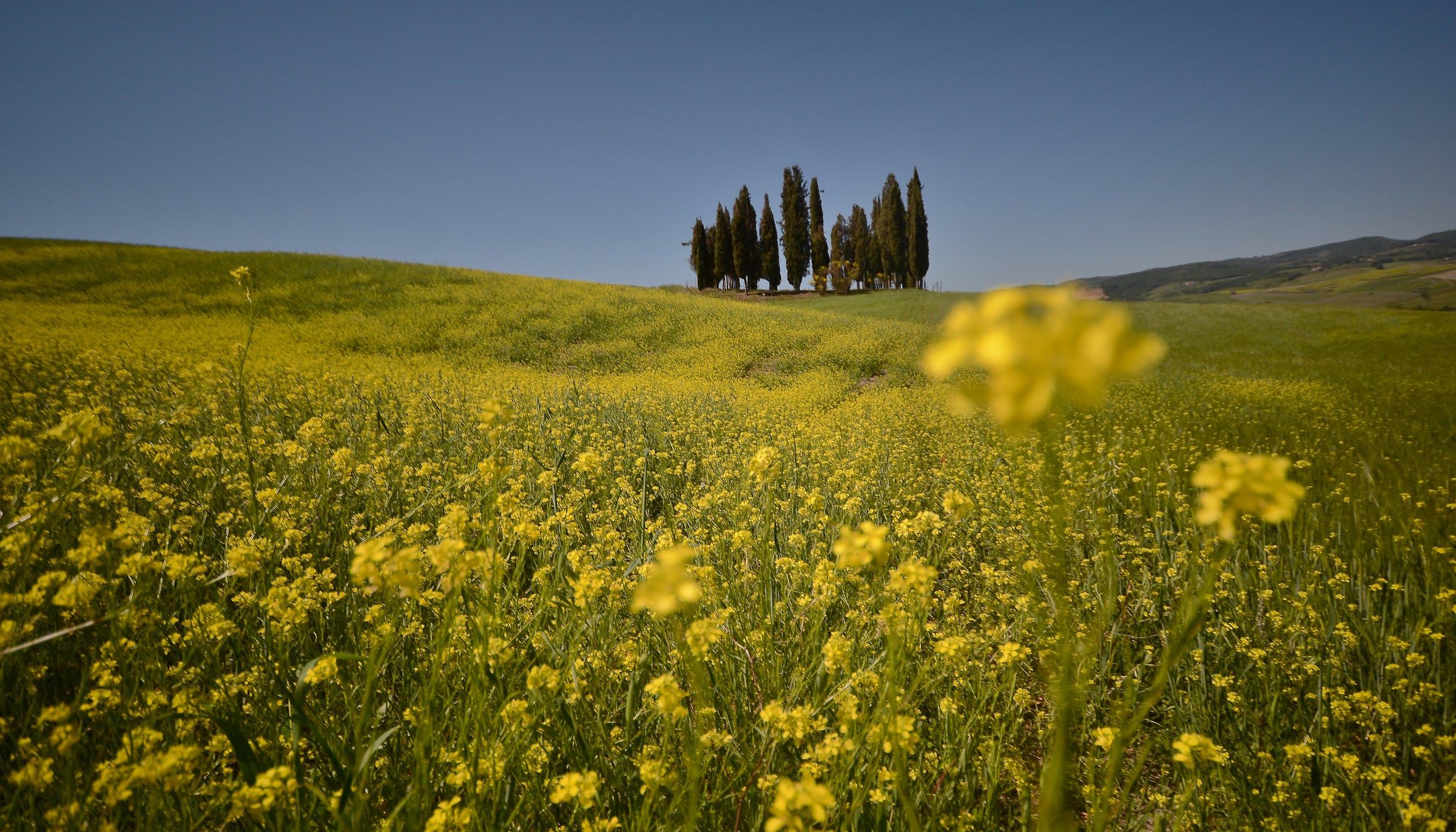 A voice out of the chorus.