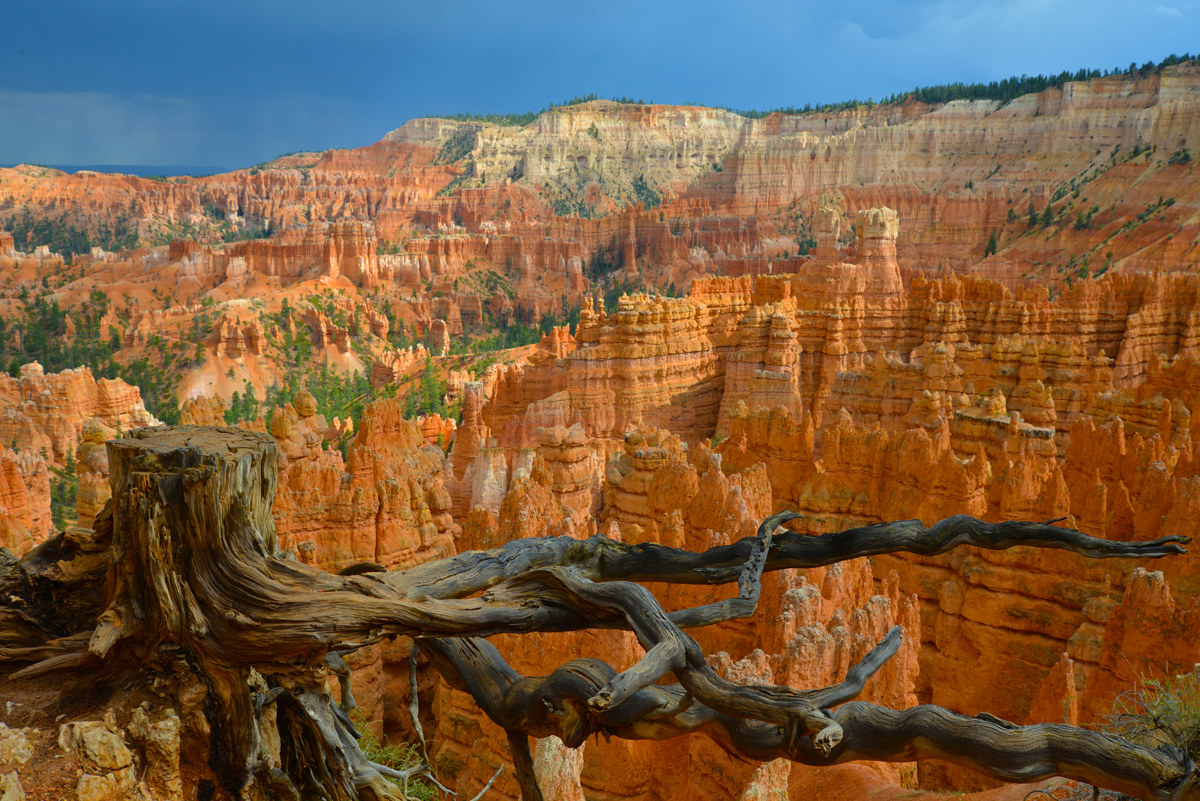 Bryce Canyon