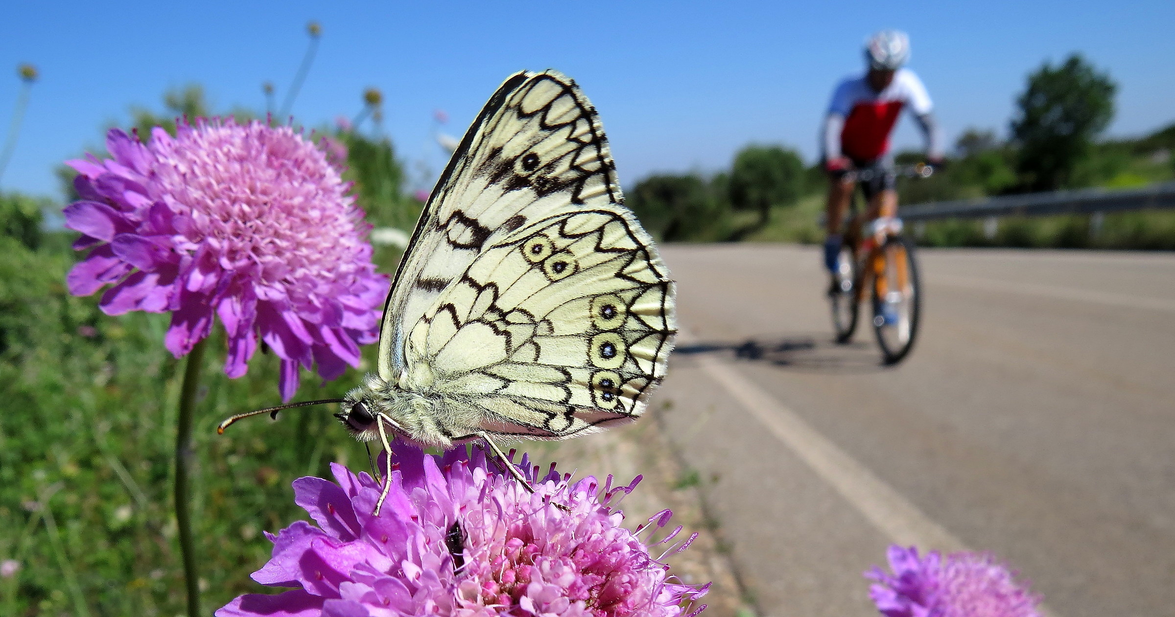 Each one on their own