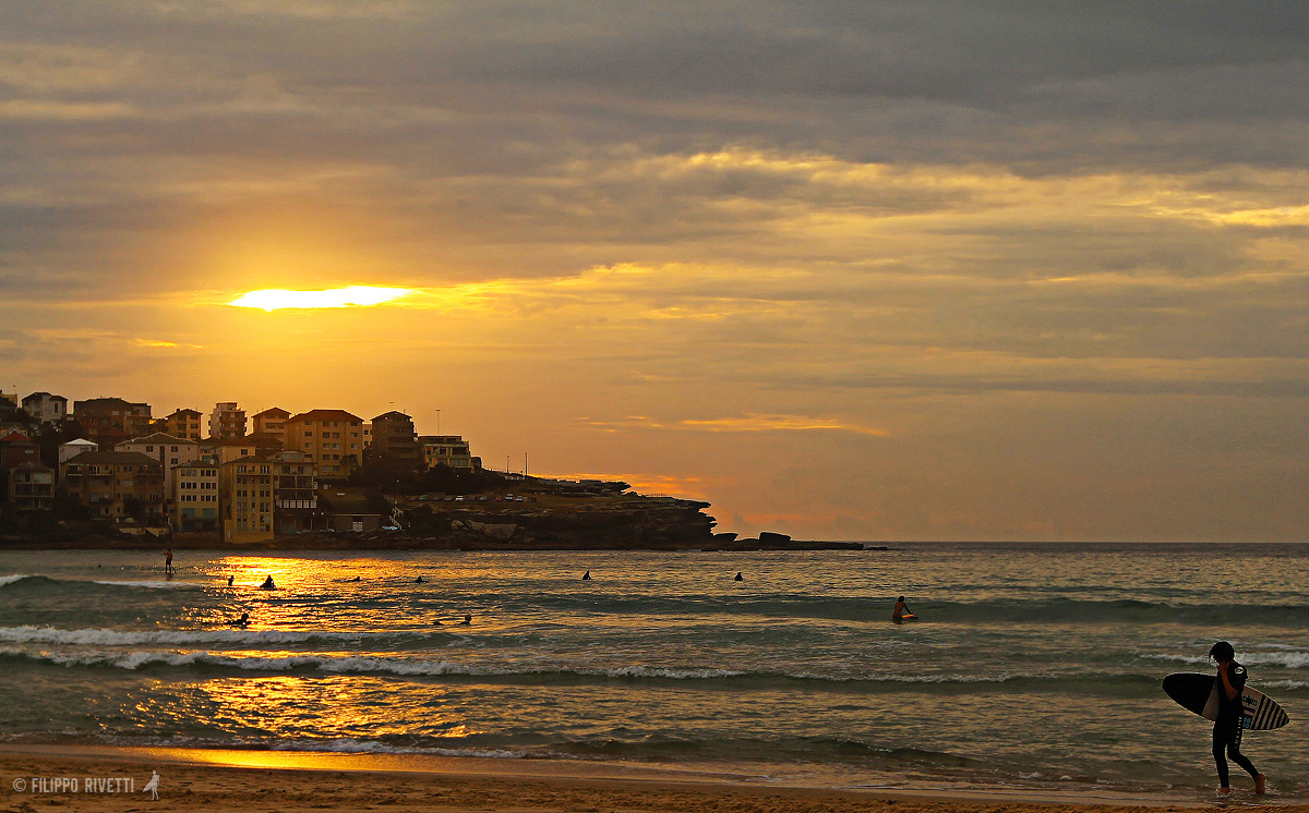 Bondi Sunrise ::