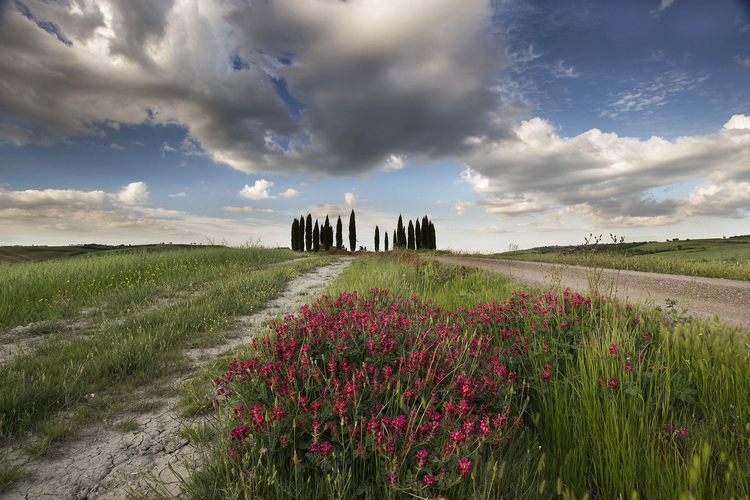 Quel mazzolin di fiori...