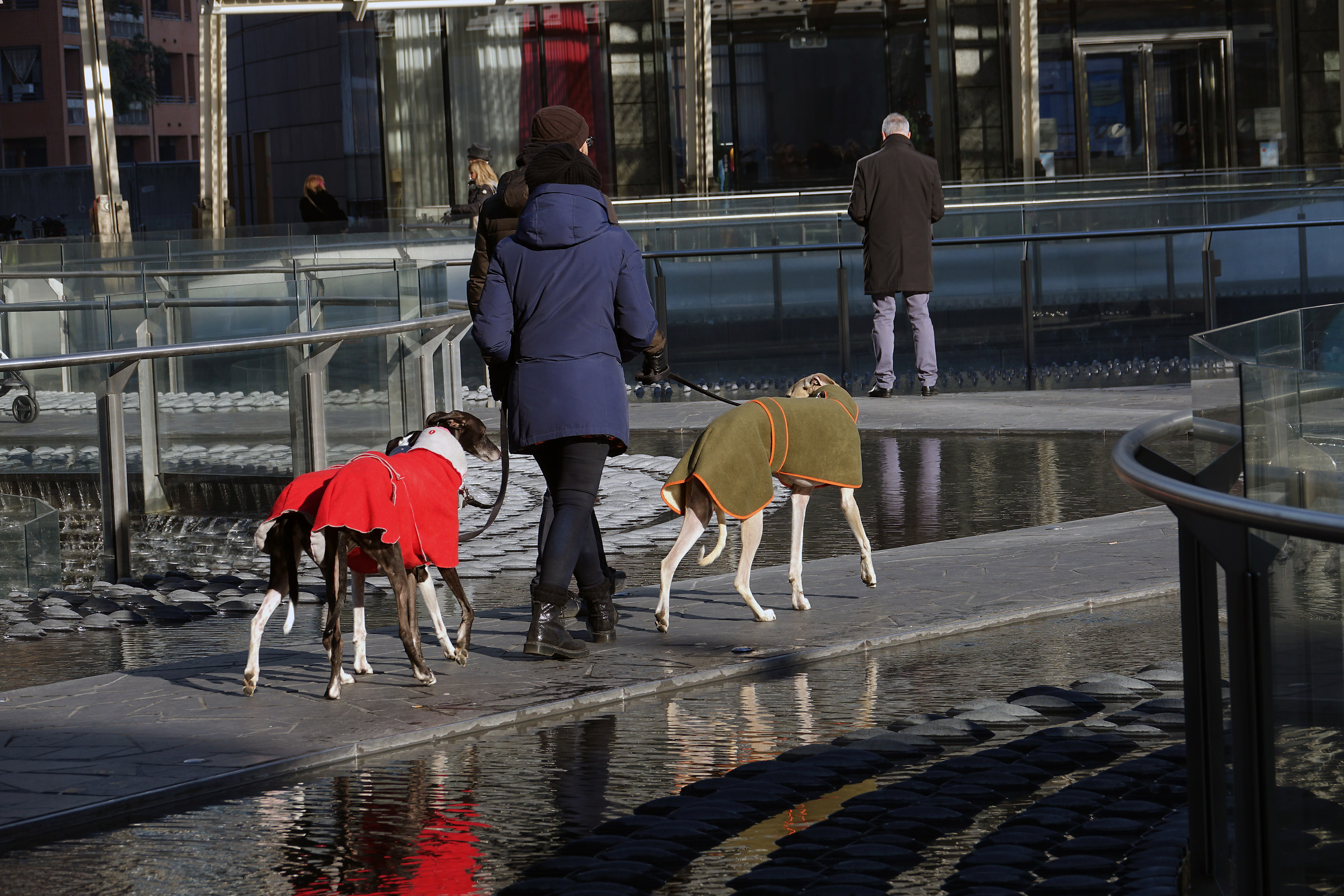 Fashion walkers in Milan