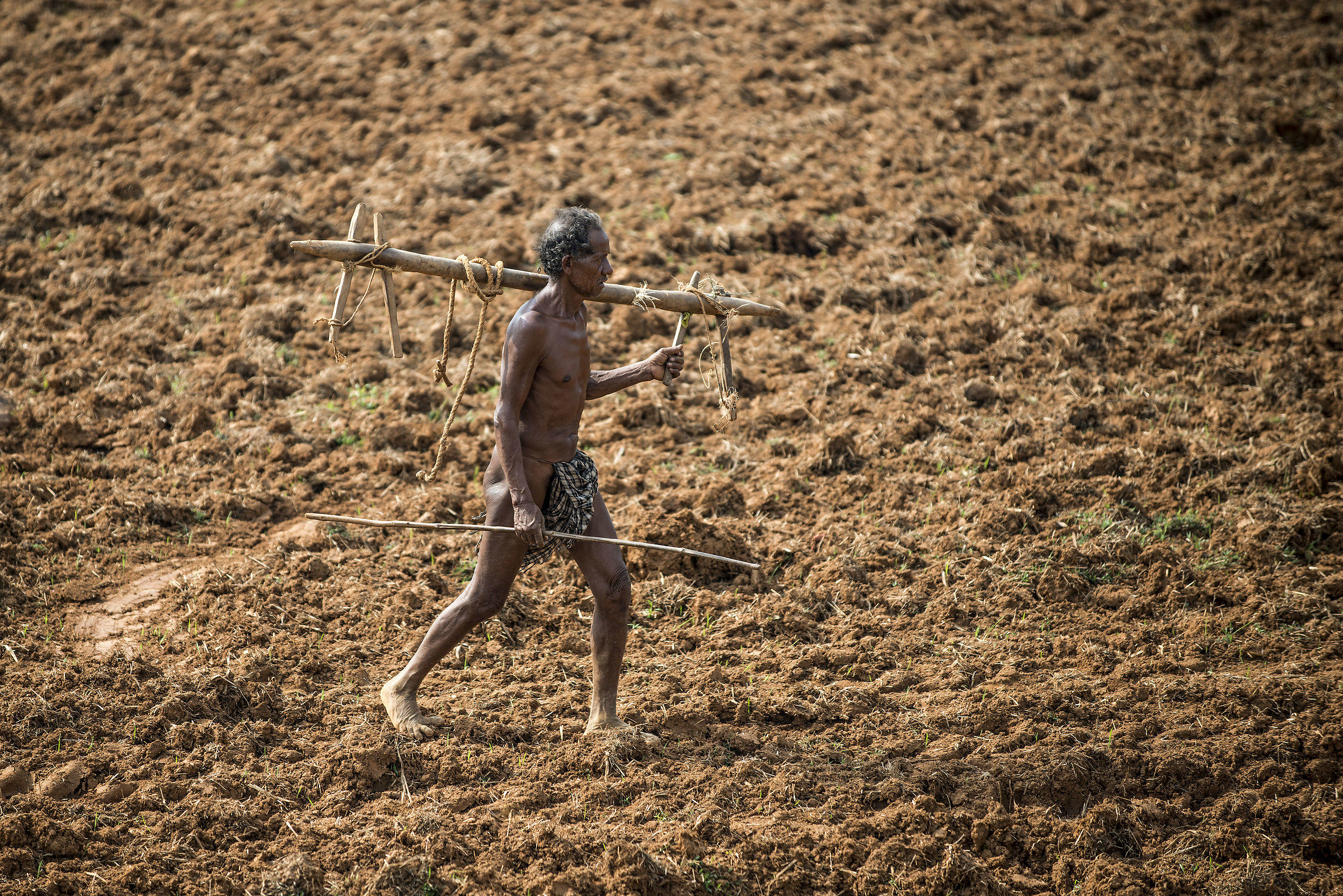 India-Orissa: Il rientro