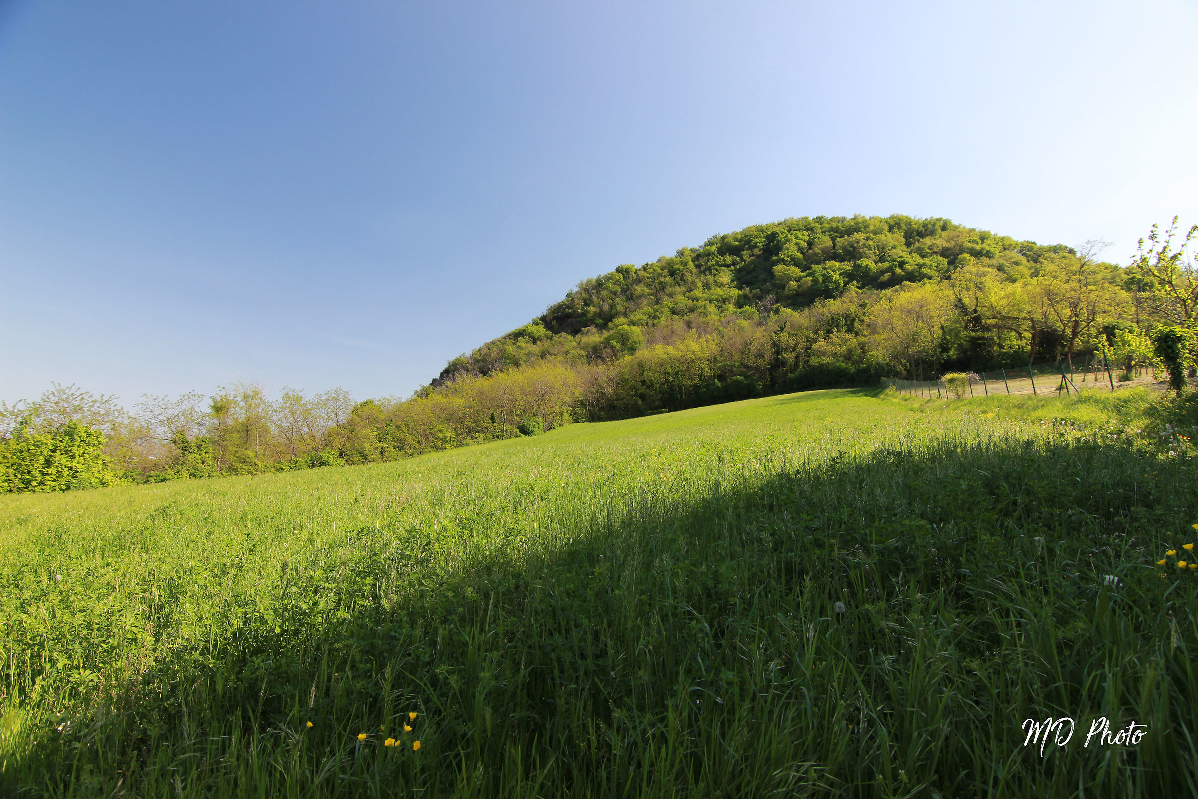 Euganean hills