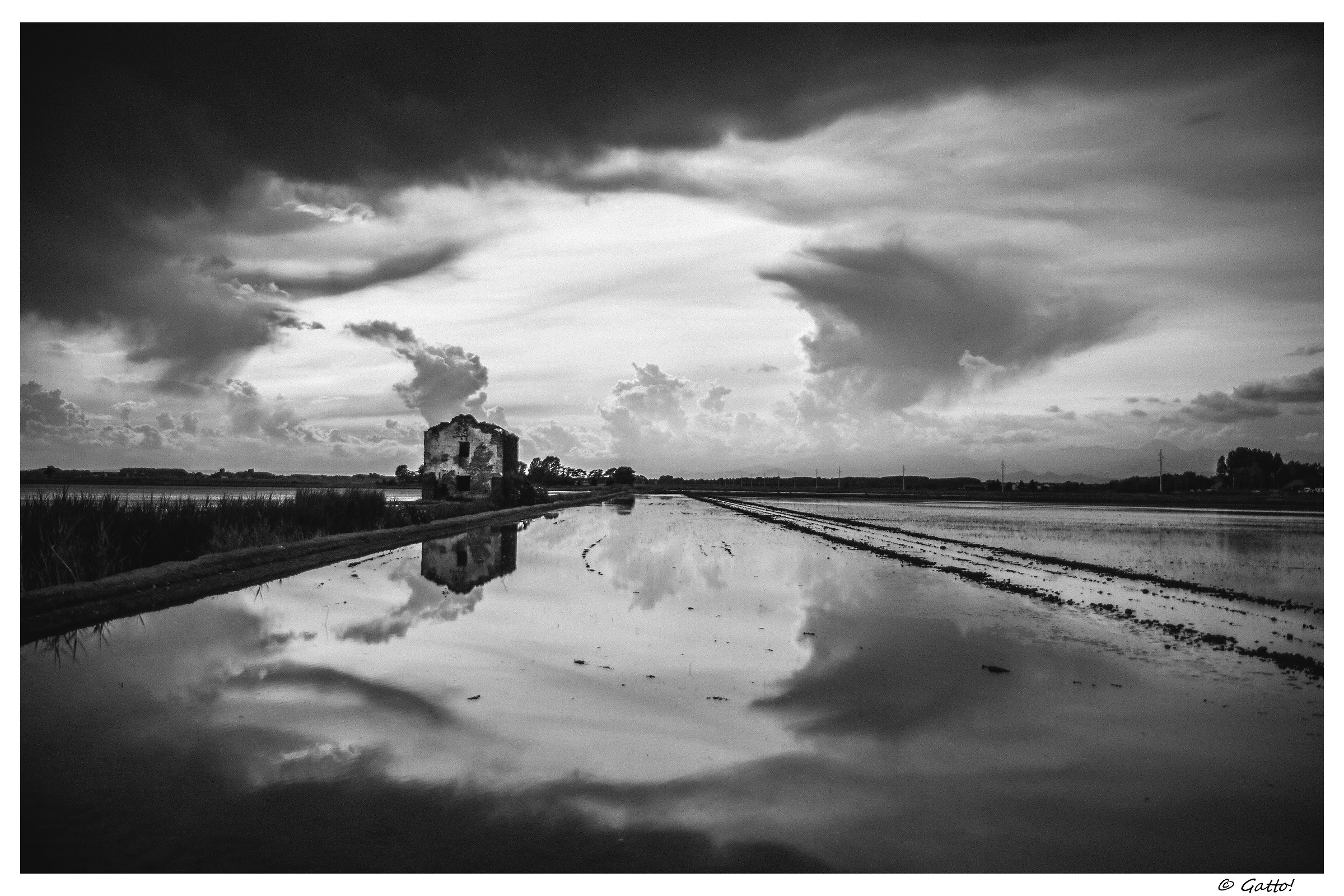 Risaie -Castellazzo Novarese-