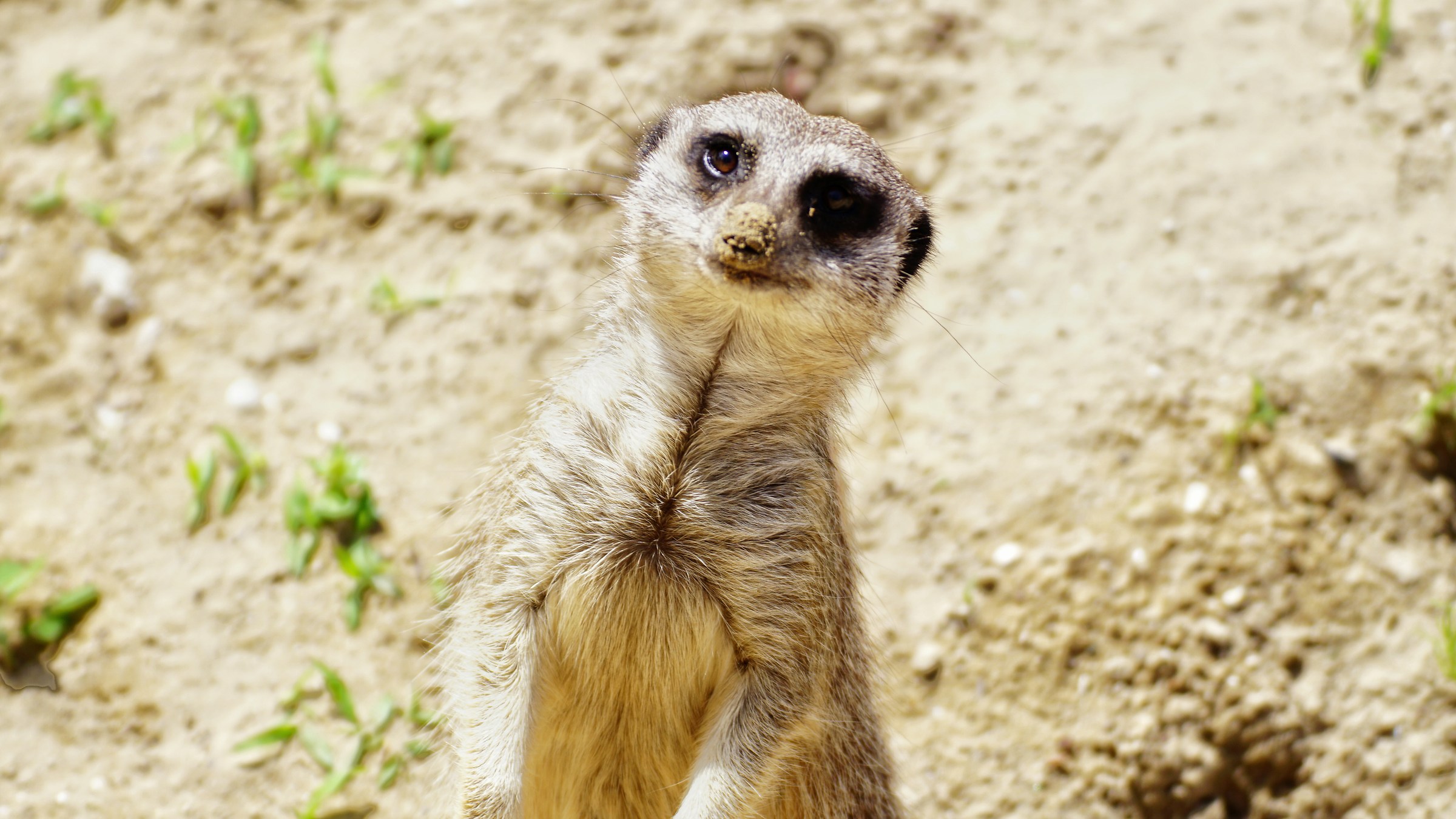 I like how you move ......