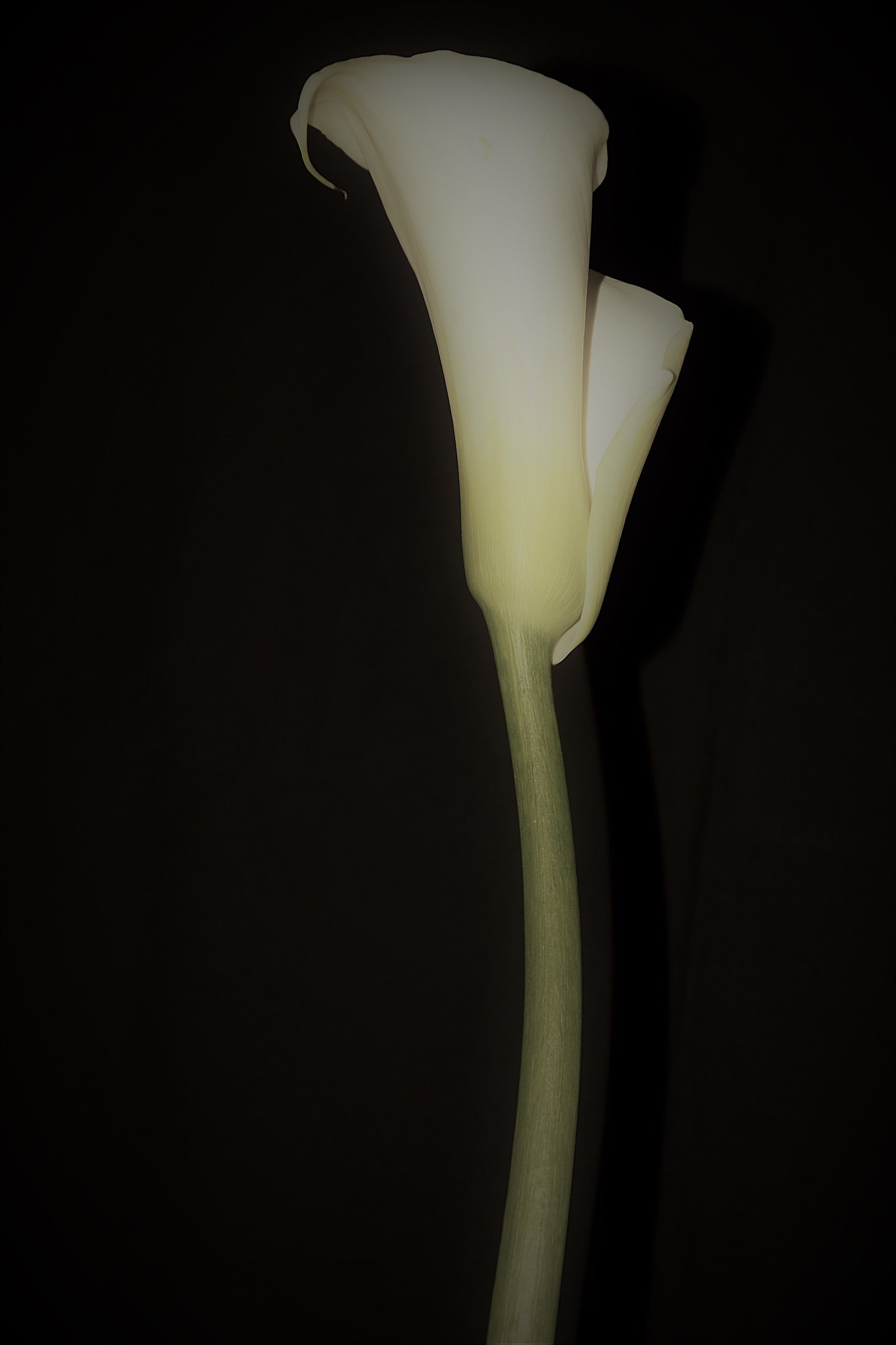 Classical sobriety '