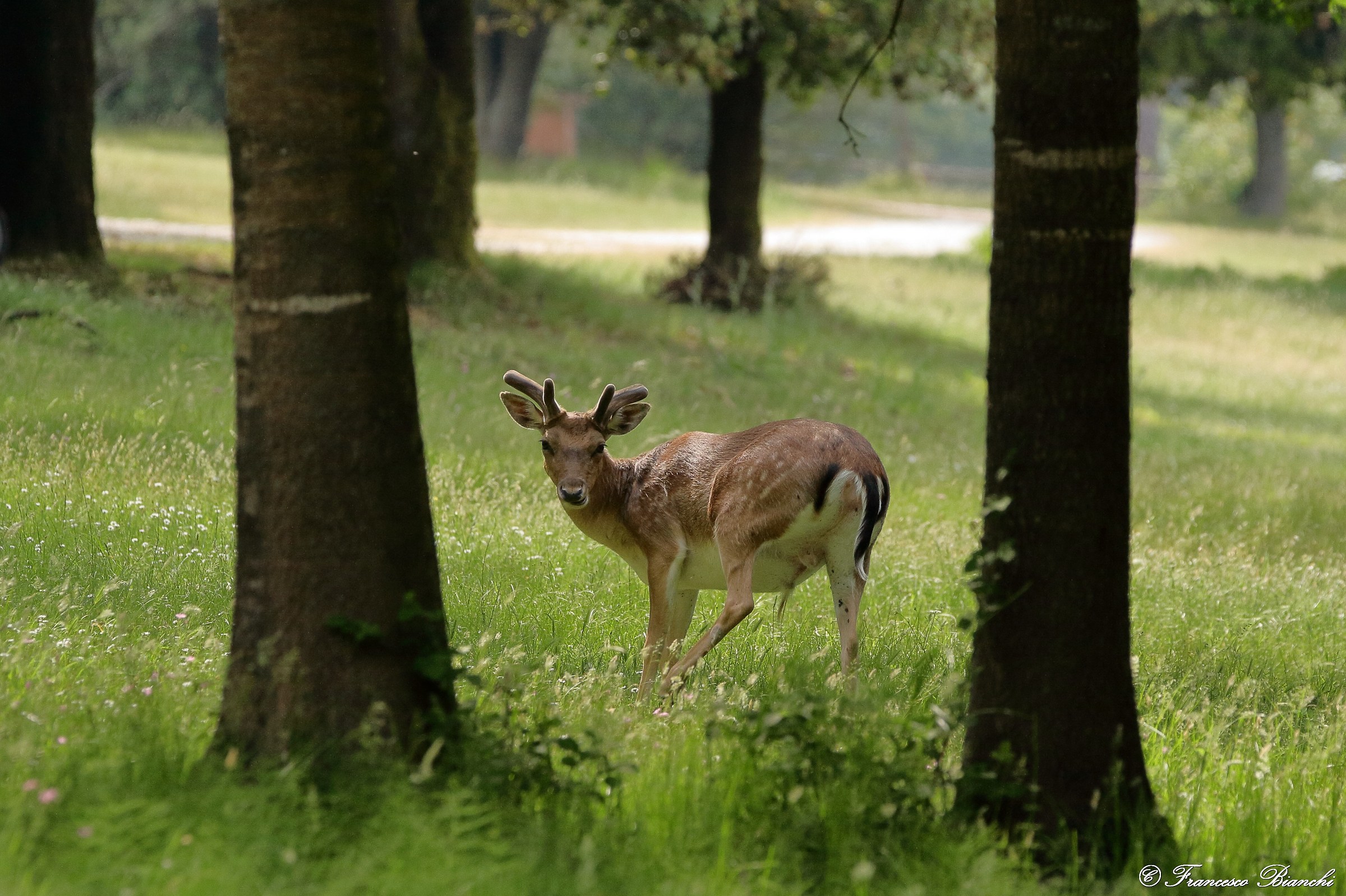 Well? What do you want?