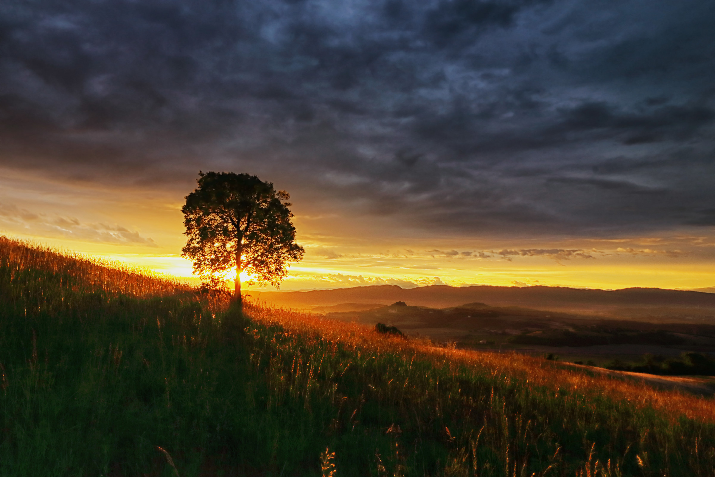 The strength of light